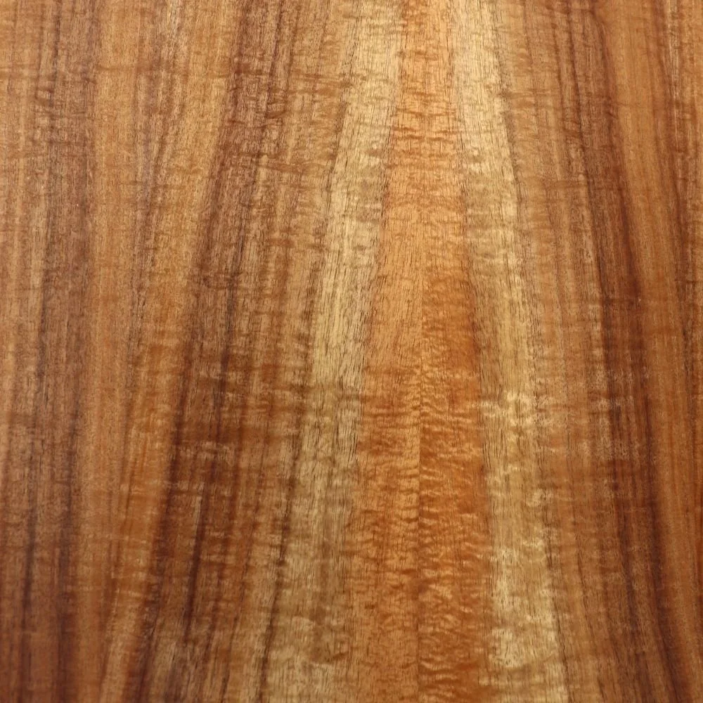 Koa
