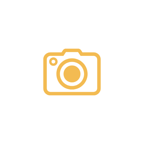 Icon of a camera in gold outlined style.