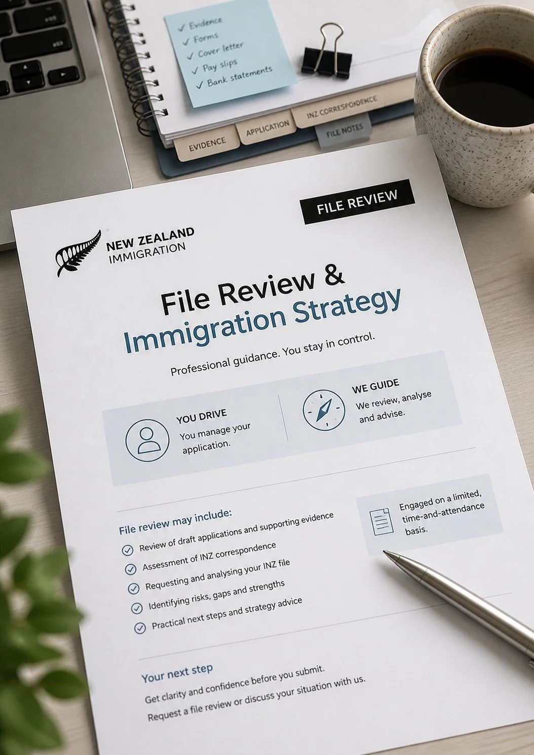 Limited Scope File Review & Strategy