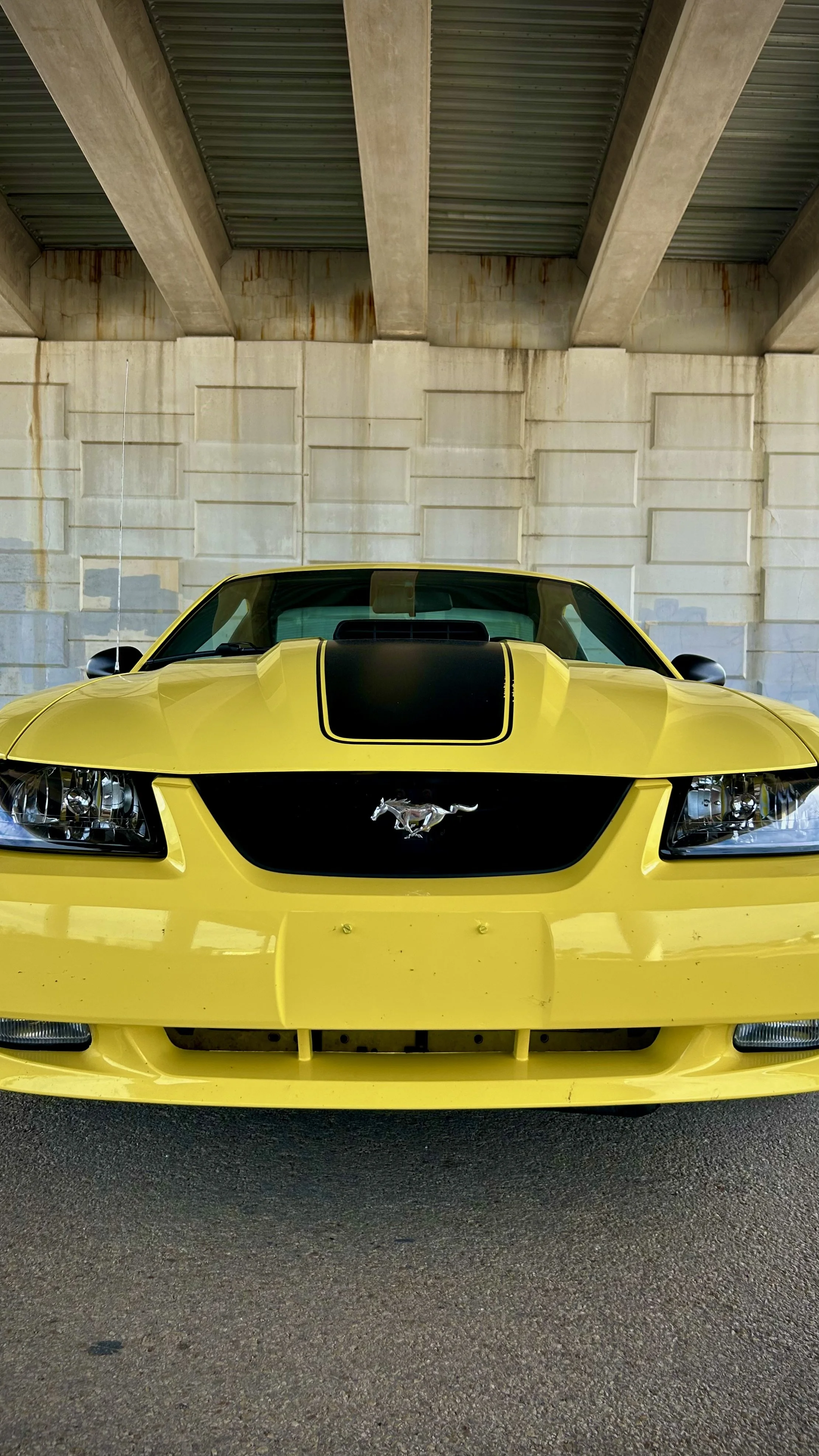 2003 Ford Mustang Mach 1 Manual