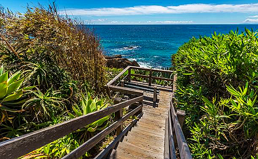 A wooden staircase leads down through lush greenery towards the ocean on a clear, sunny day.