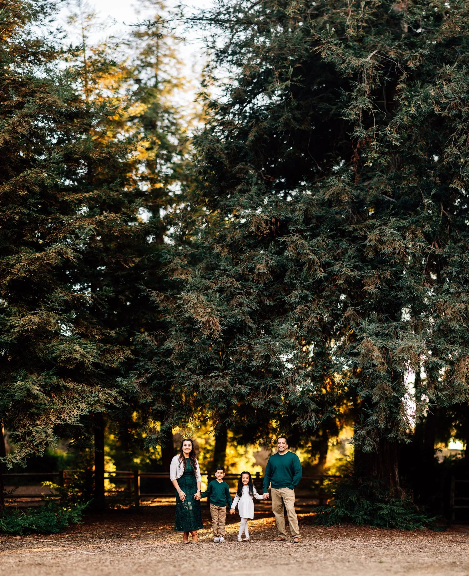 Smiling family for Family Portrait session in Redwood Forrest in southern california Carbon Canyon Park
