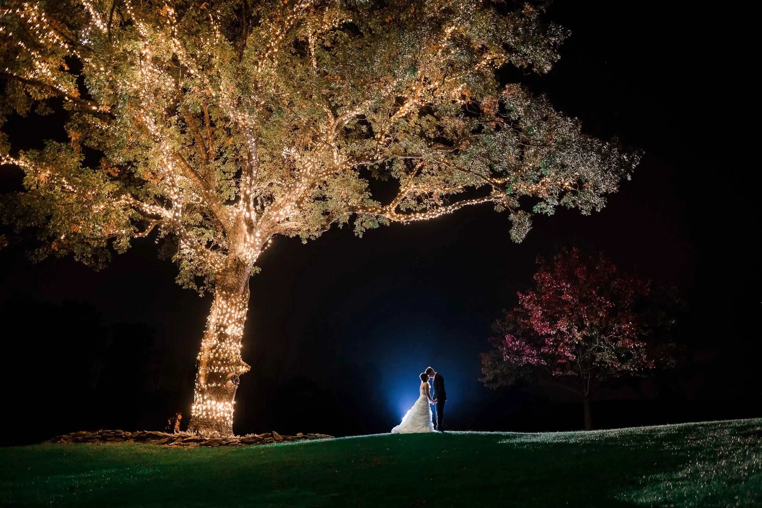 Couple in wedding attire kissing under a large illuminated tree at night, wedding dress and suit, outdoor setting.