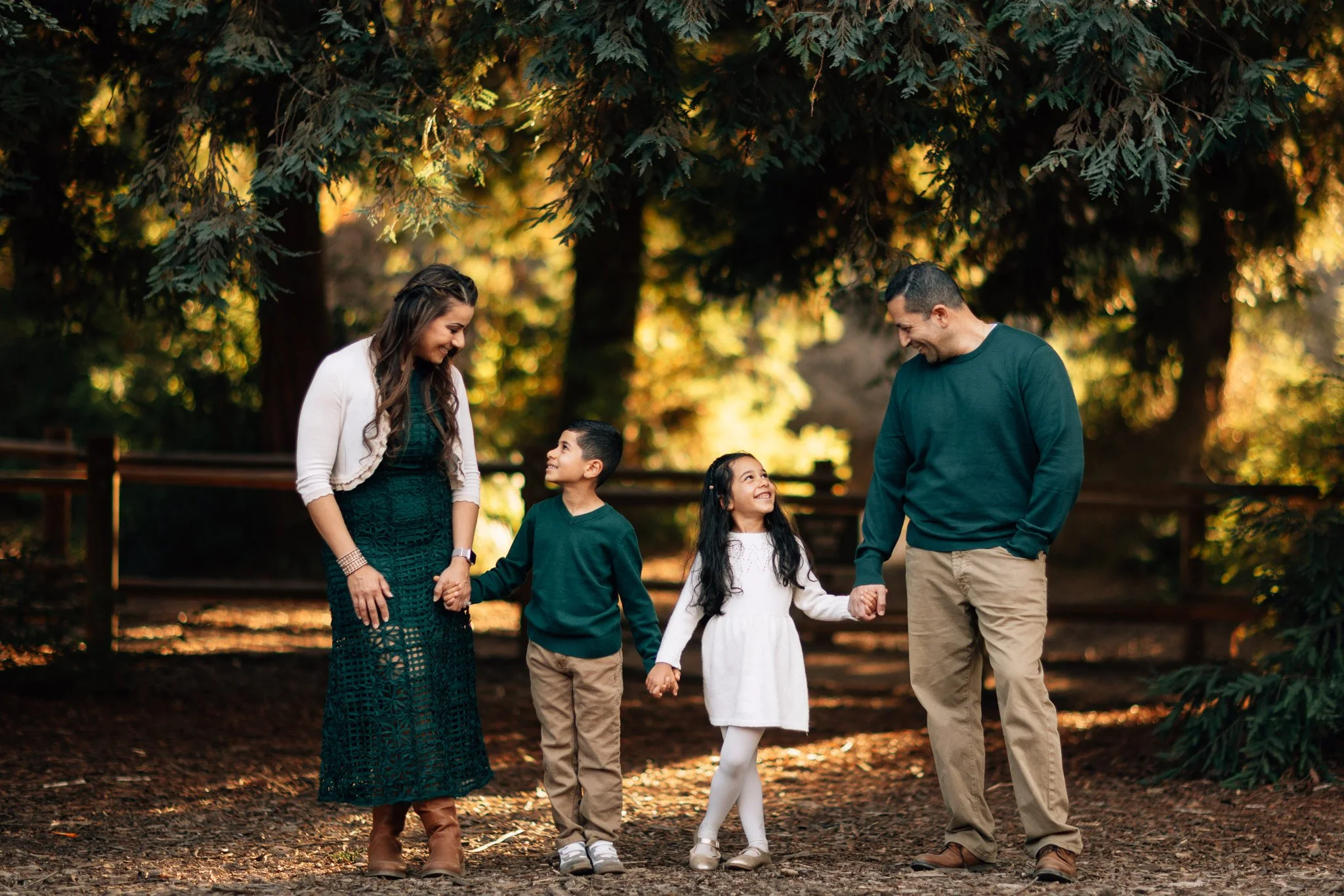 Carbon-Canyon-Regional-Park-Redwood-Grove-Family-Portraits.jpg