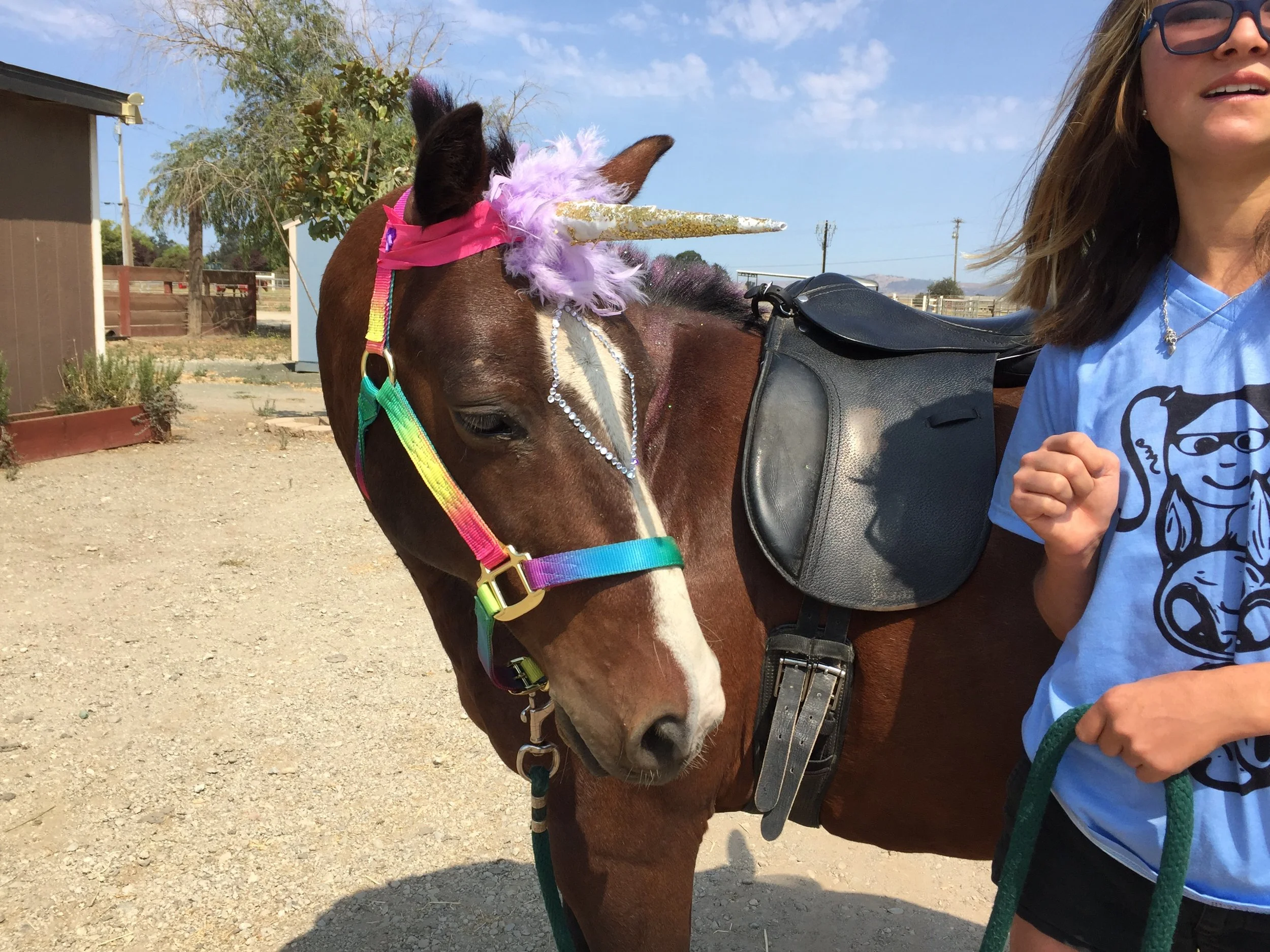 A young girl standing next to a brown horse, which is decorated with a unicorn horn, a pink and purple mane, and a rainbow-colored halter, on a sunny day at a farm or stable.