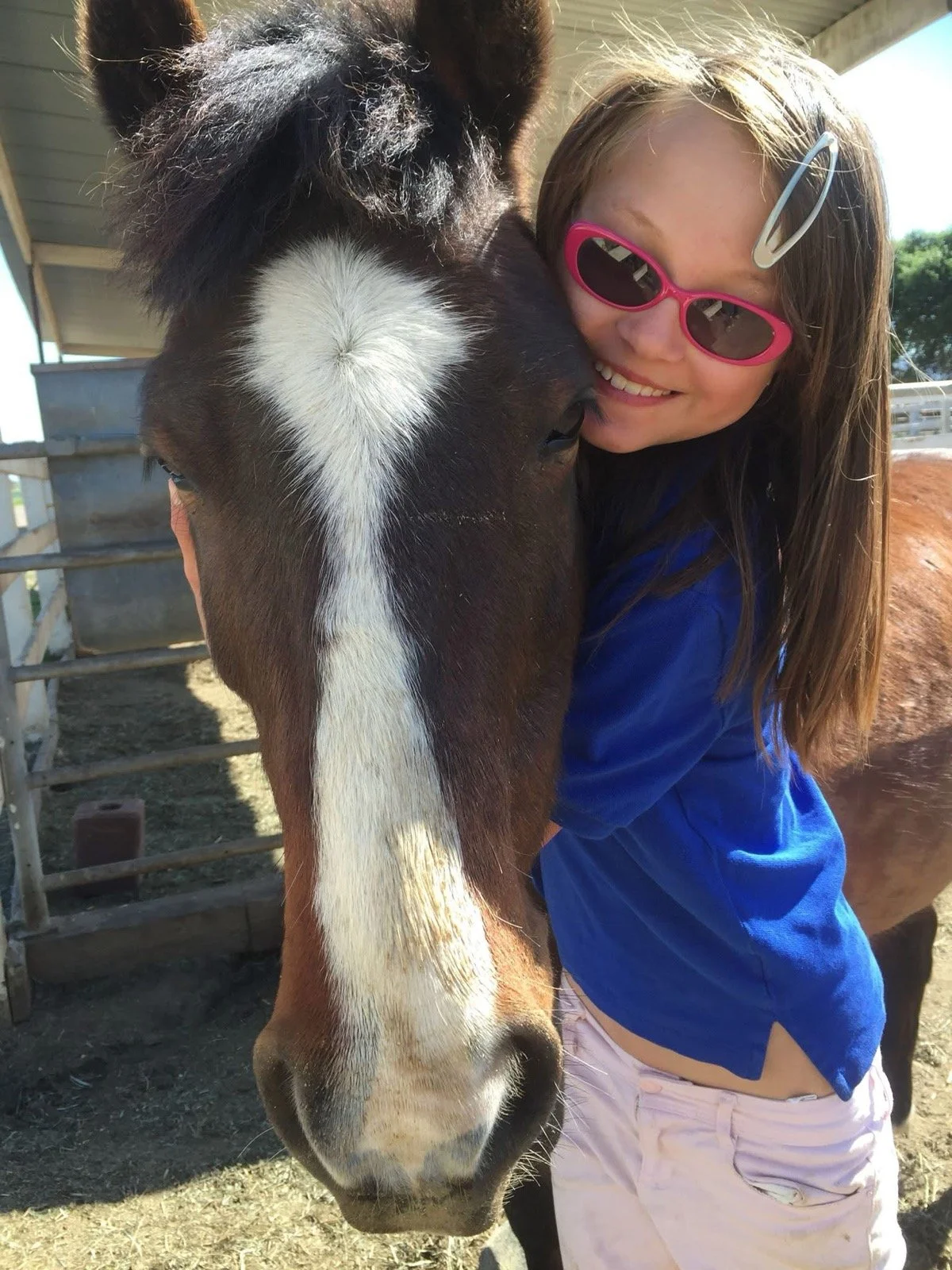 A young girl with brown hair, pink sunglasses, and a blue shirt hugging a brown and white horse outside at a farm.