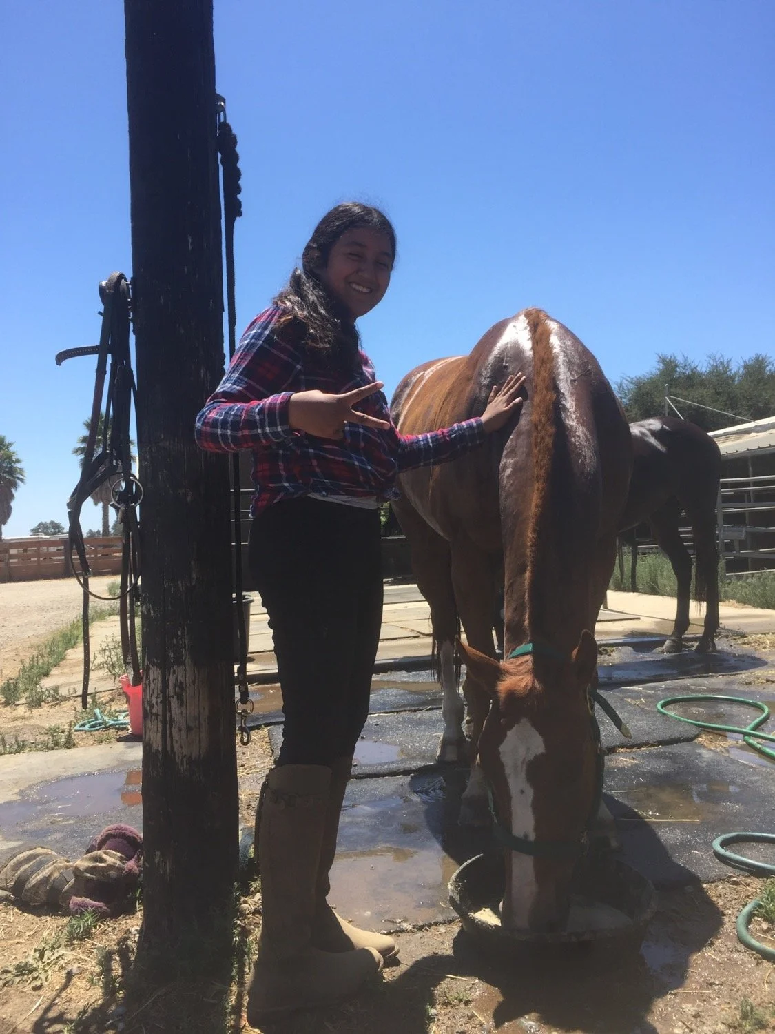 A girl in a plaid shirt and riding boots stands next to a brown and white horse, touching its neck and making a peace sign with her fingers. The horse is drinking water in an outdoor setting on a sunny day.