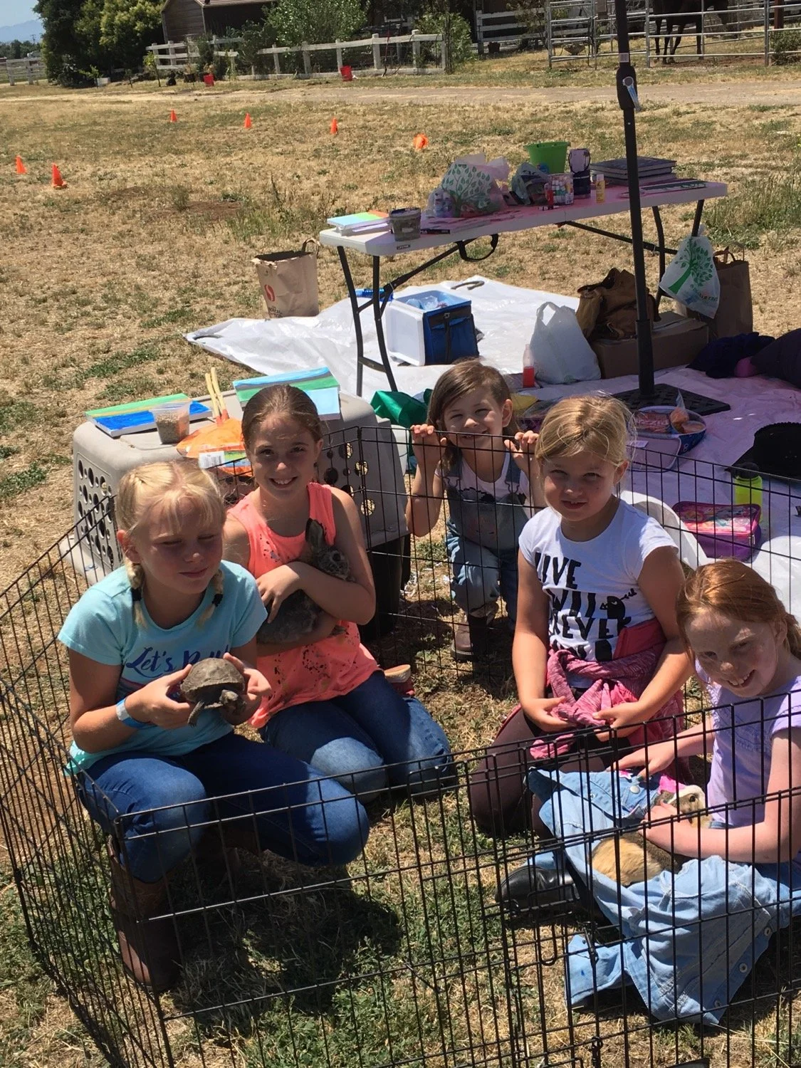 Five young girls sitting inside a small animal pen outdoors, holding baby turtles, with a table and supplies in the background, on a sunny day.