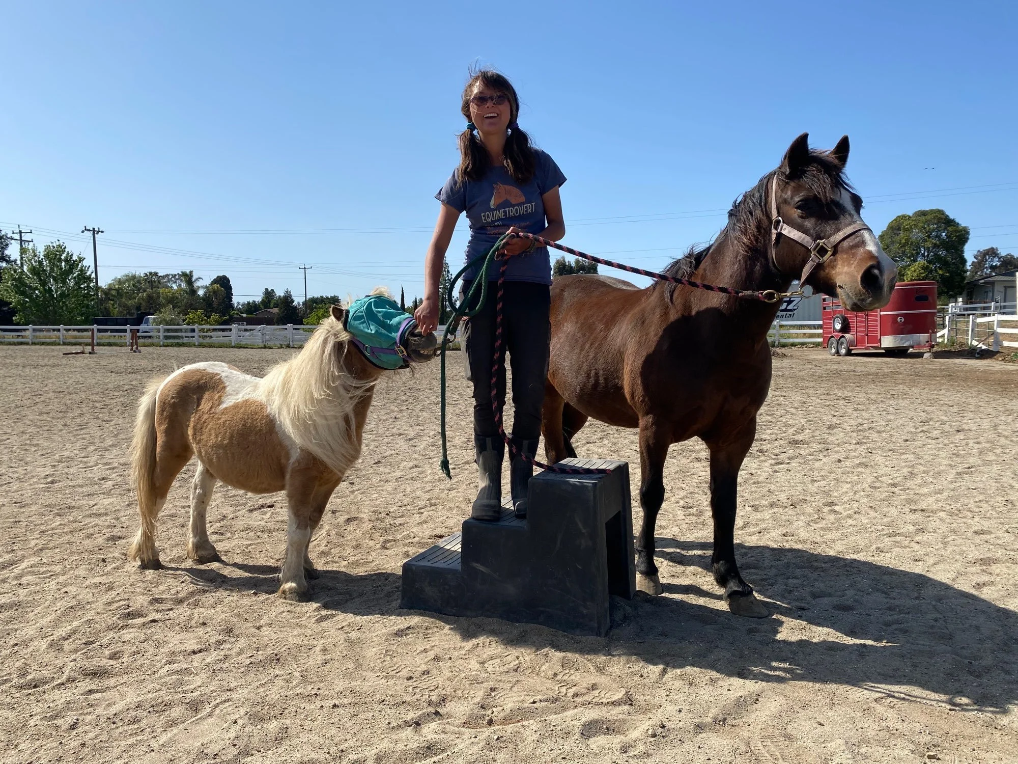 A girl standing on a step stool holding the reins of a brown horse, with a small blond pony wearing a blanket nearby. They are in an outdoor riding arena on a sunny day with a clear blue sky, and there are trees, fences, and red trailers in the backg