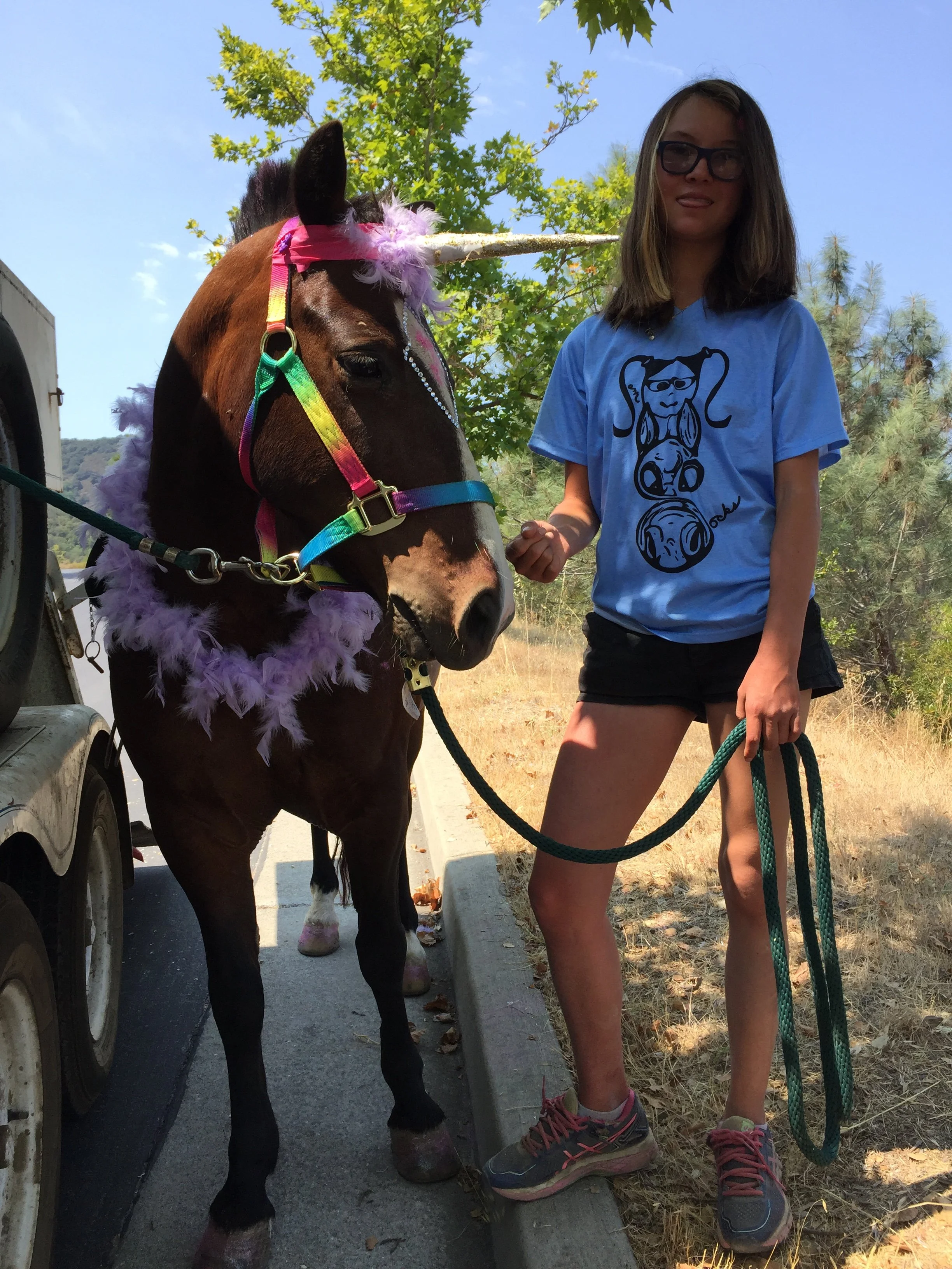 A girl wearing sunglasses and a light blue t-shirt with a bear graphic, standing next to a decorated horse with a rainbow-colored halter and purple feathered accessories, outdoors on a sunny day.