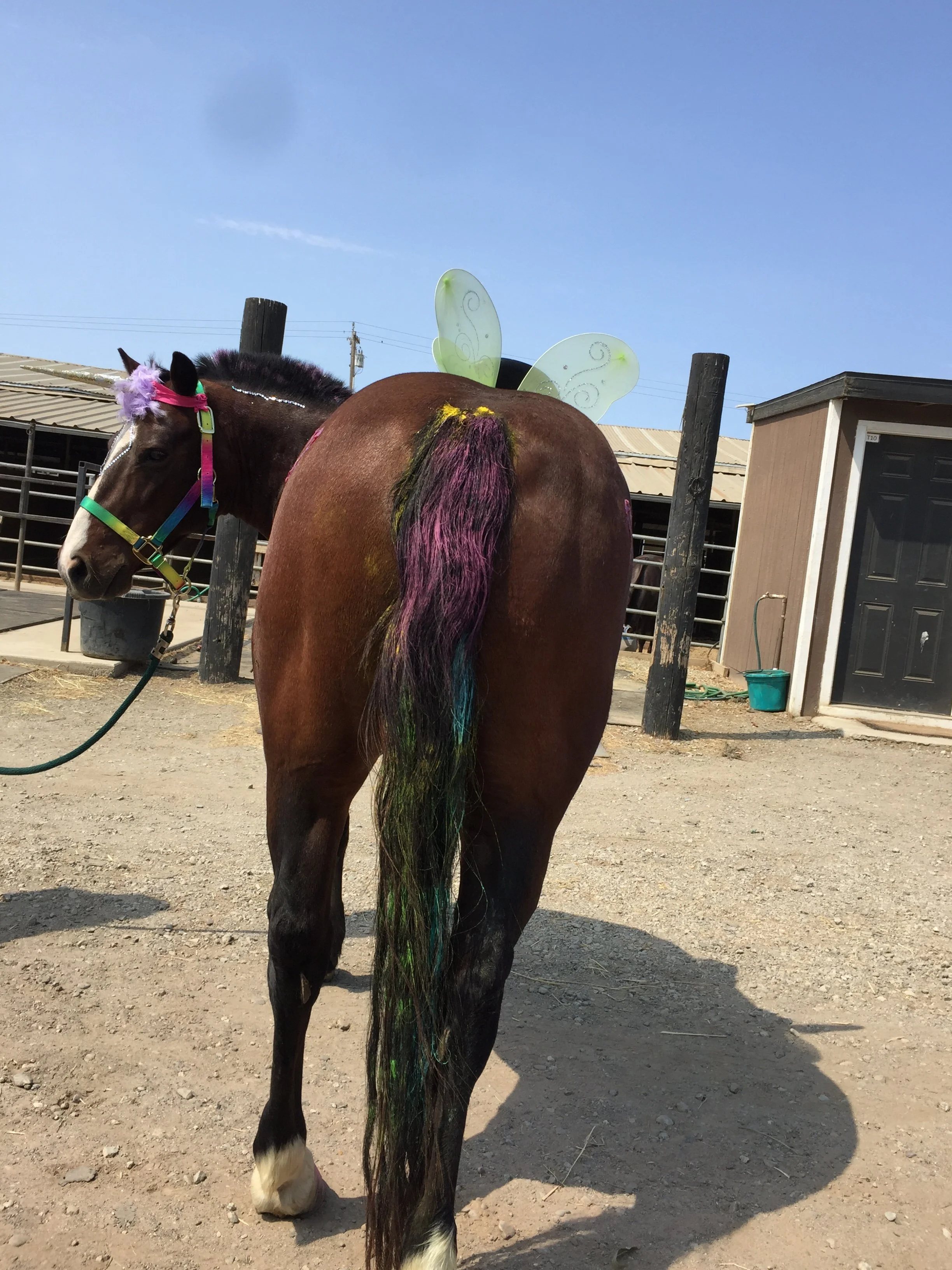 Horse with colorful makeup and rainbow-colored hair, wearing fairy wings, standing in a stable yard.