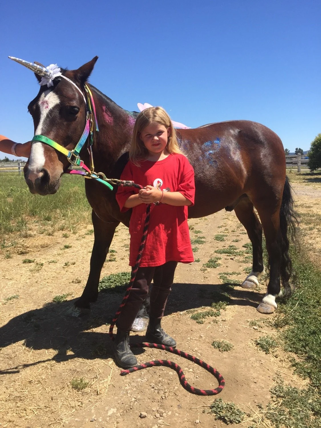 A young girl with blonde hair wearing a red shirt and brown pants standing on dirt next to a brown and white horse with glitter and a unicorn horn decoration on its head, under a clear blue sky.