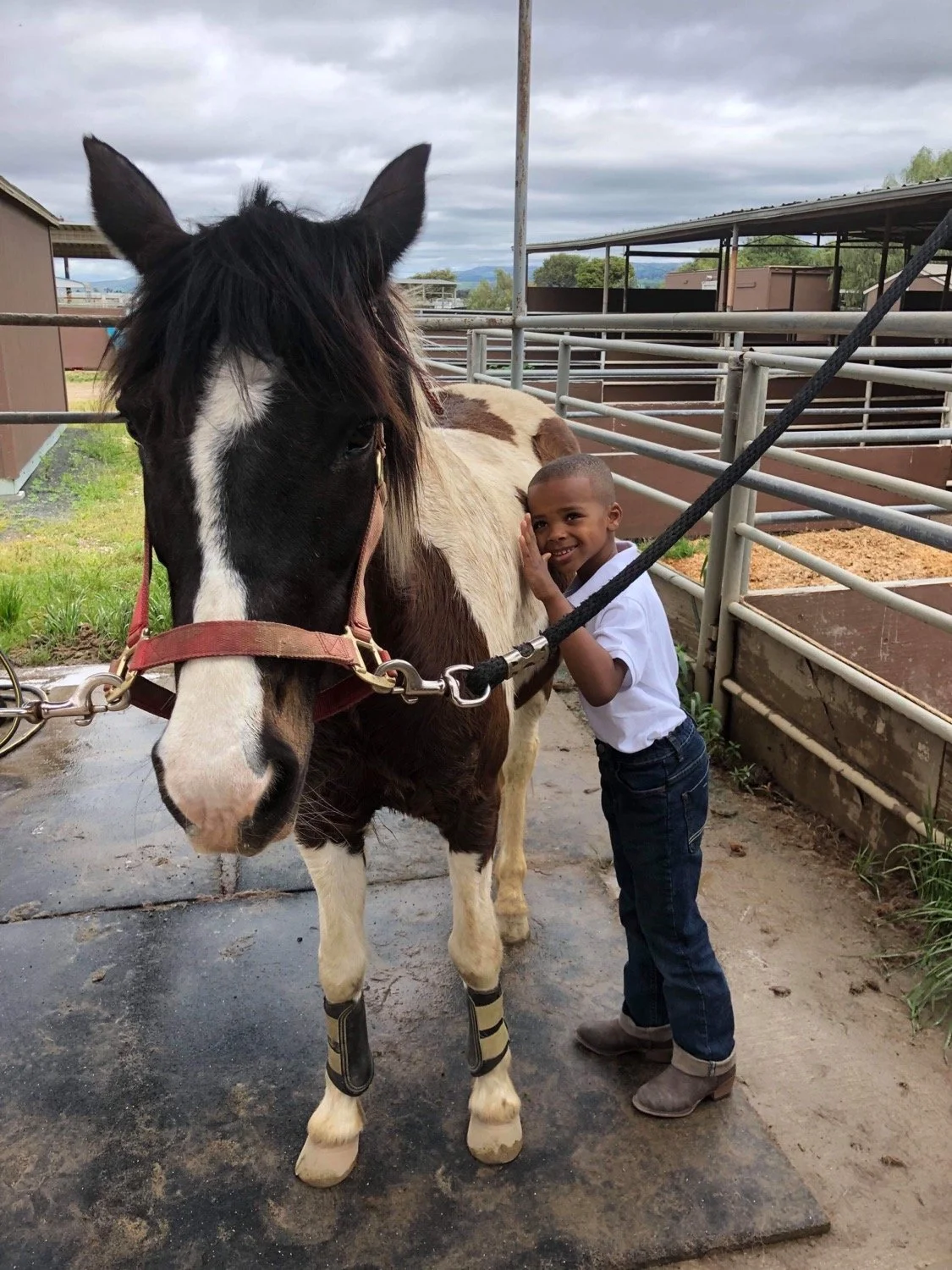 A young boy in a white shirt and jeans hugging a brown and white horse in a stable area with metal railings under cloudy skies.