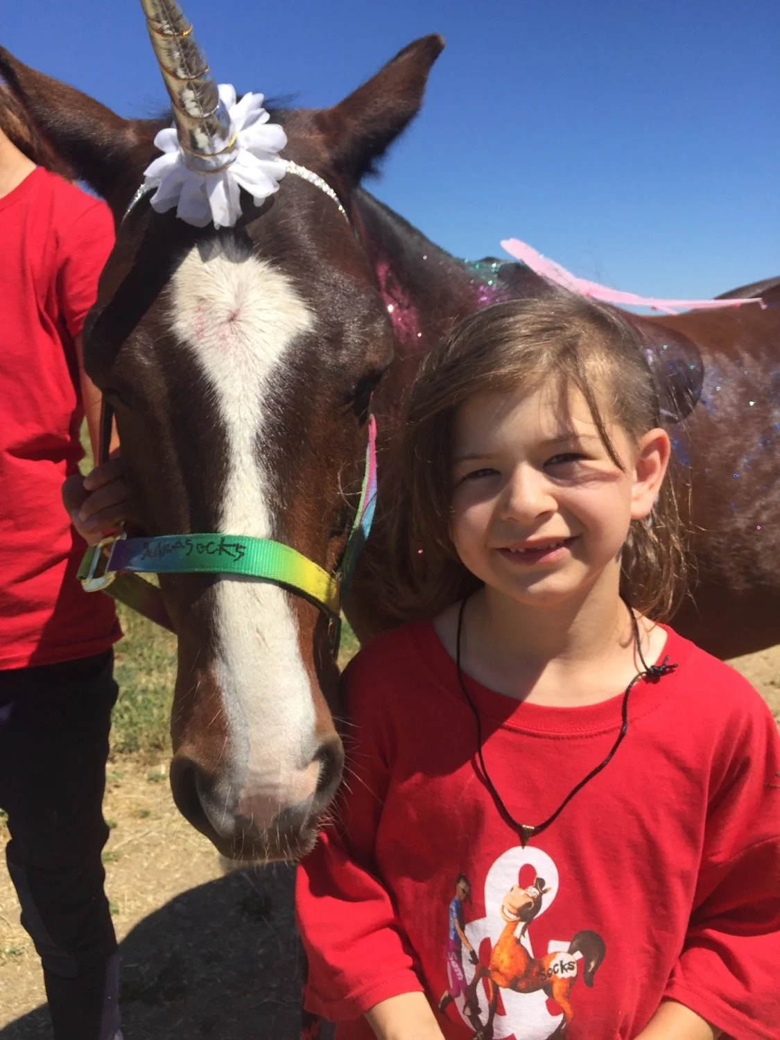 A young girl with light brown hair and a red shirt standing next to a brown and white horse with glitter on its body and a unicorn horn on its head, on a sunny day outdoors.
