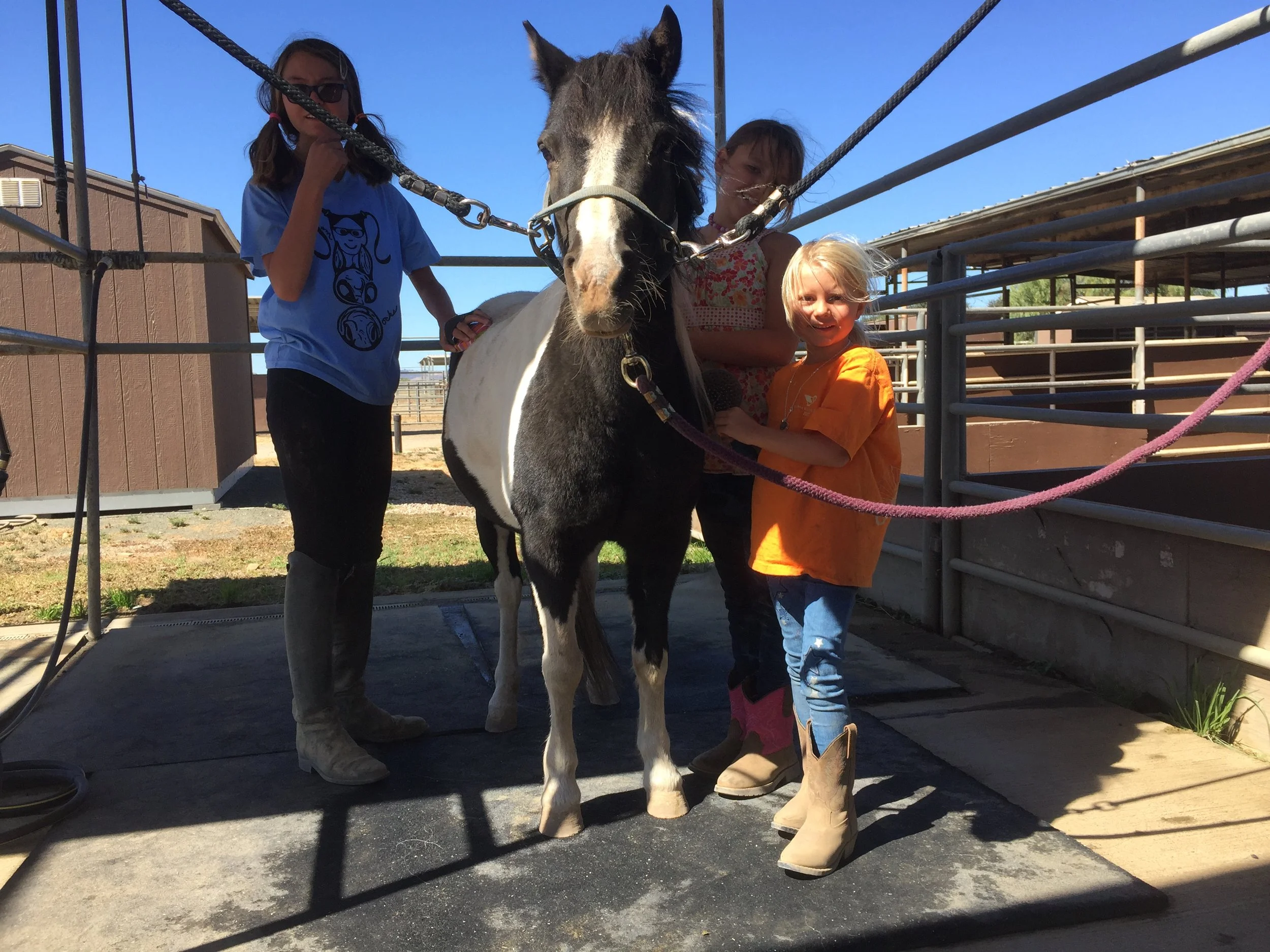 Three children and an adult with a black and white pinto horse at a farm or ranch. The children are smiling and holding the horse's reins, and the adult is standing beside them. The scene is outdoors on a sunny day with clear blue skies.