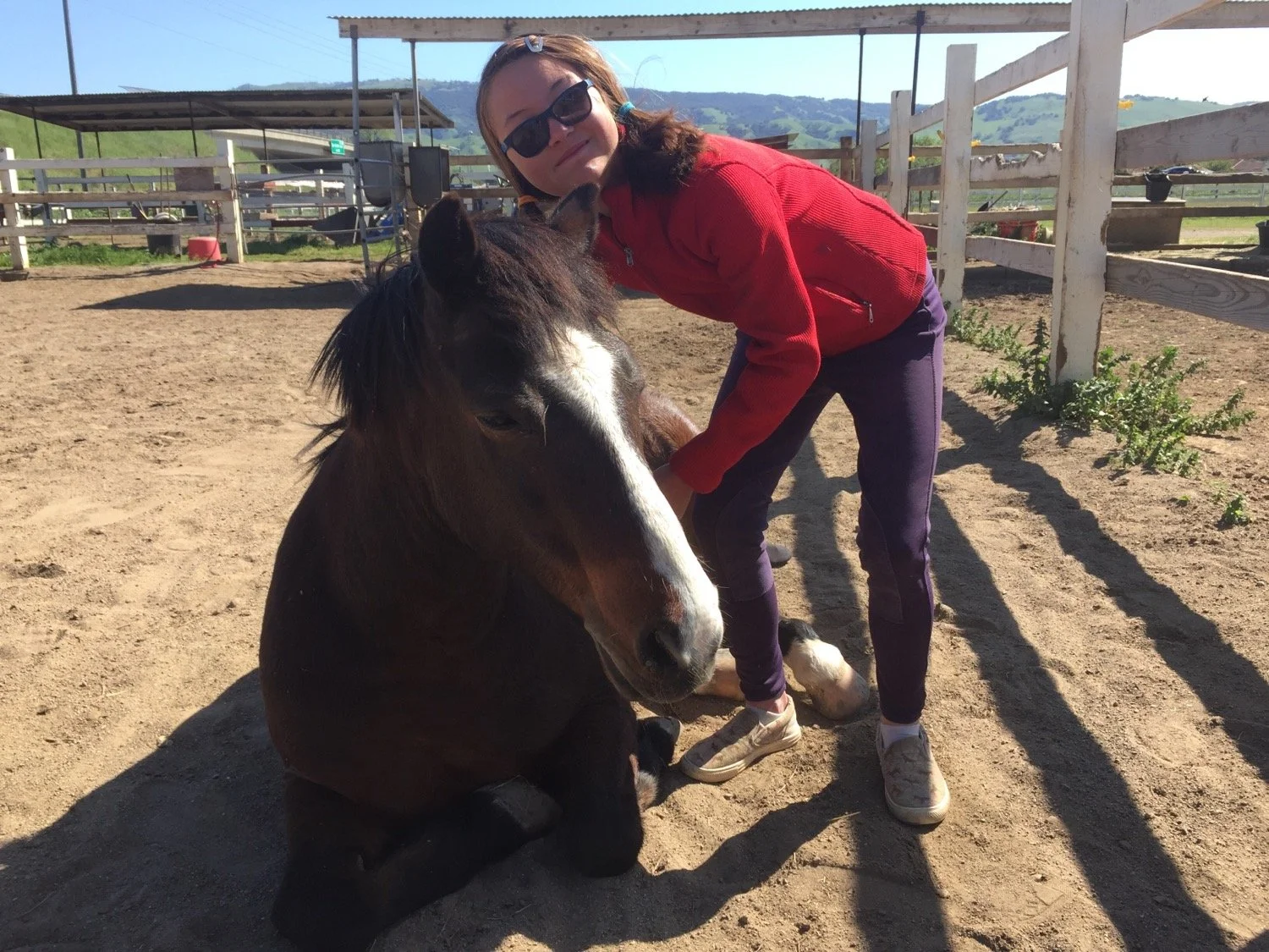 Woman in sunglasses and red jacket petting a brown and white pony at a farm or stable.