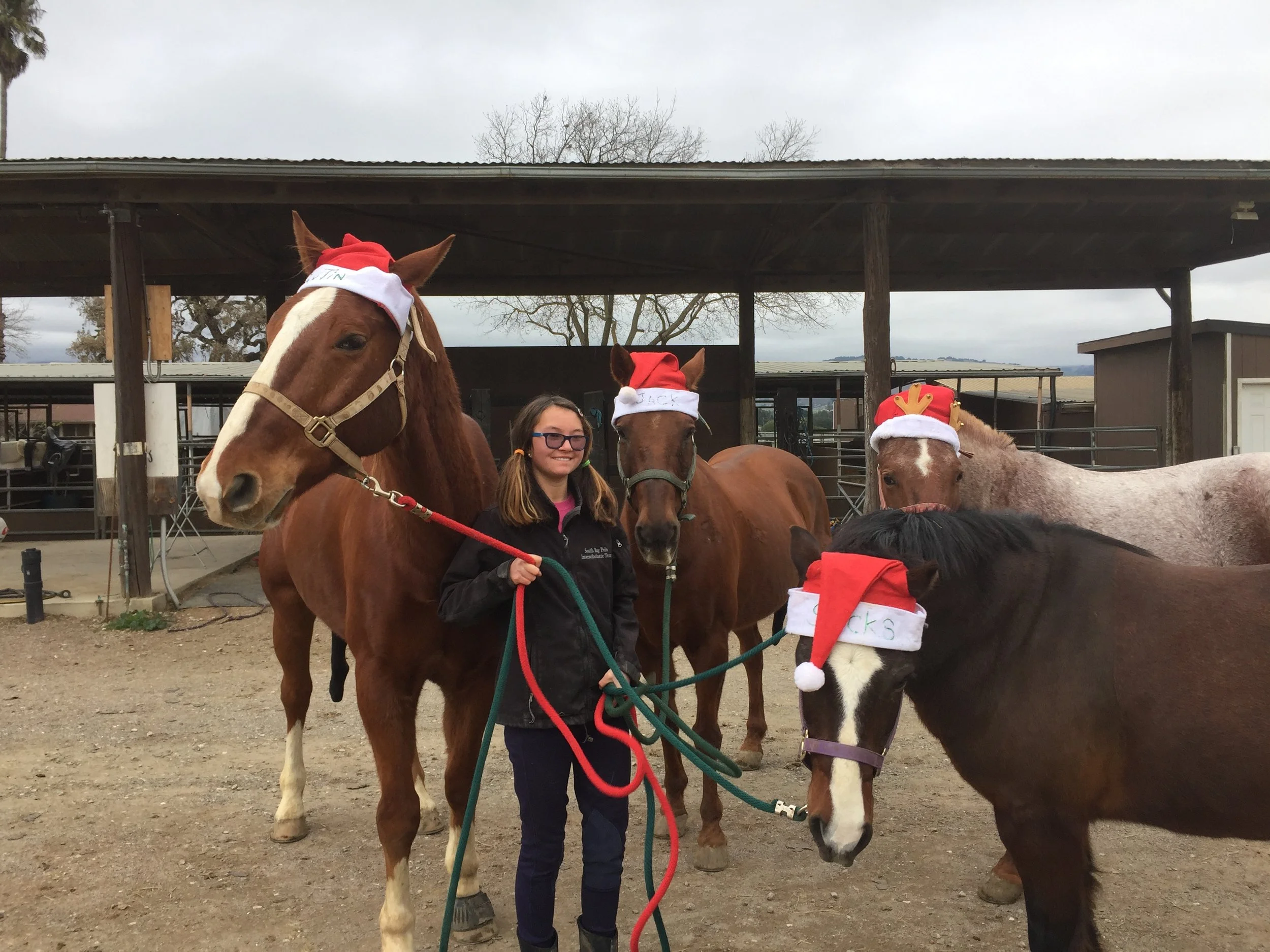 A girl standing with four decorated horses wearing Christmas hats and accessories at a stable