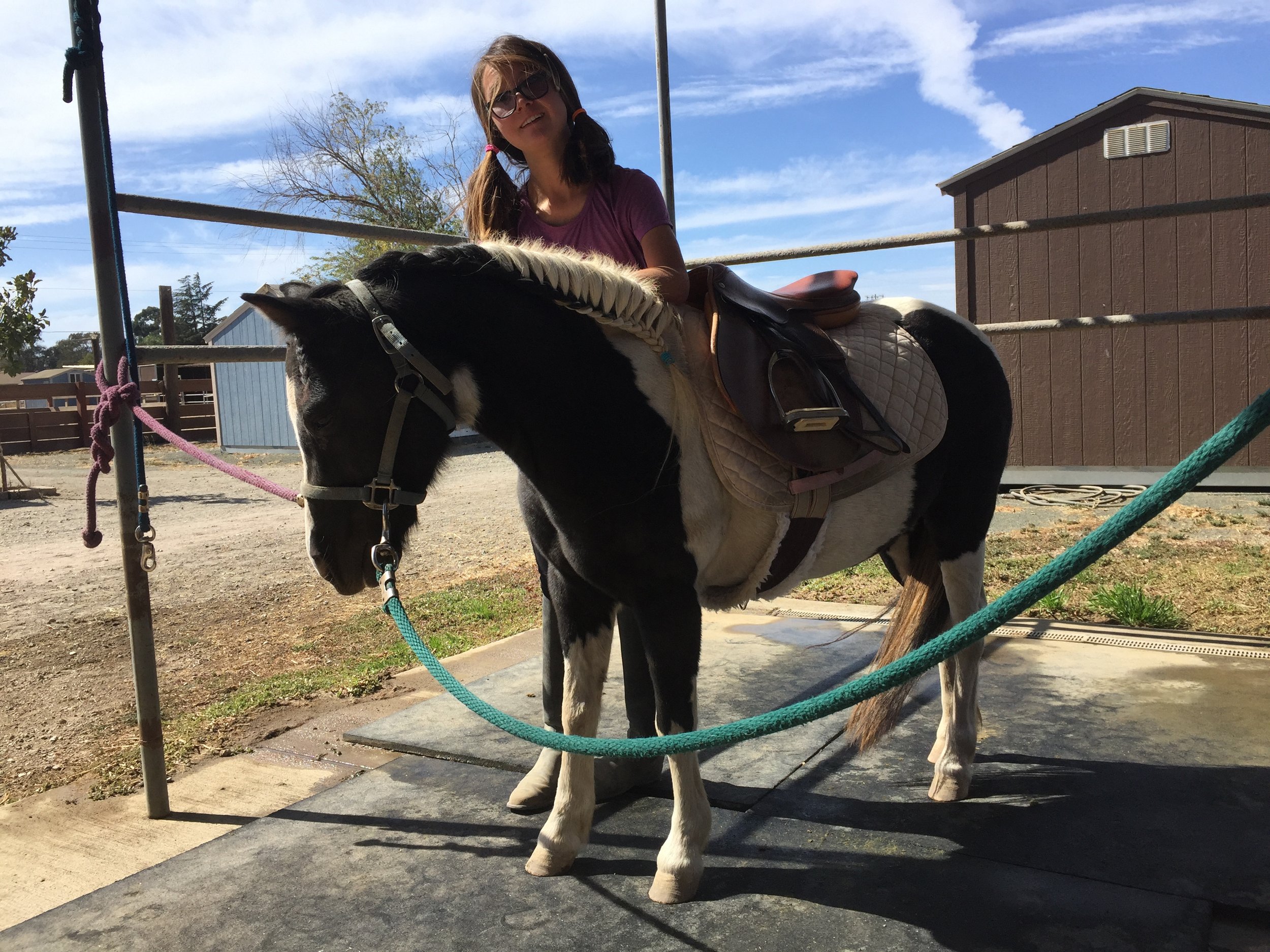 A girl wearing sunglasses and a purple shirt riding a black and white pony with a light saddle and bridle, standing on an outdoor stable area.