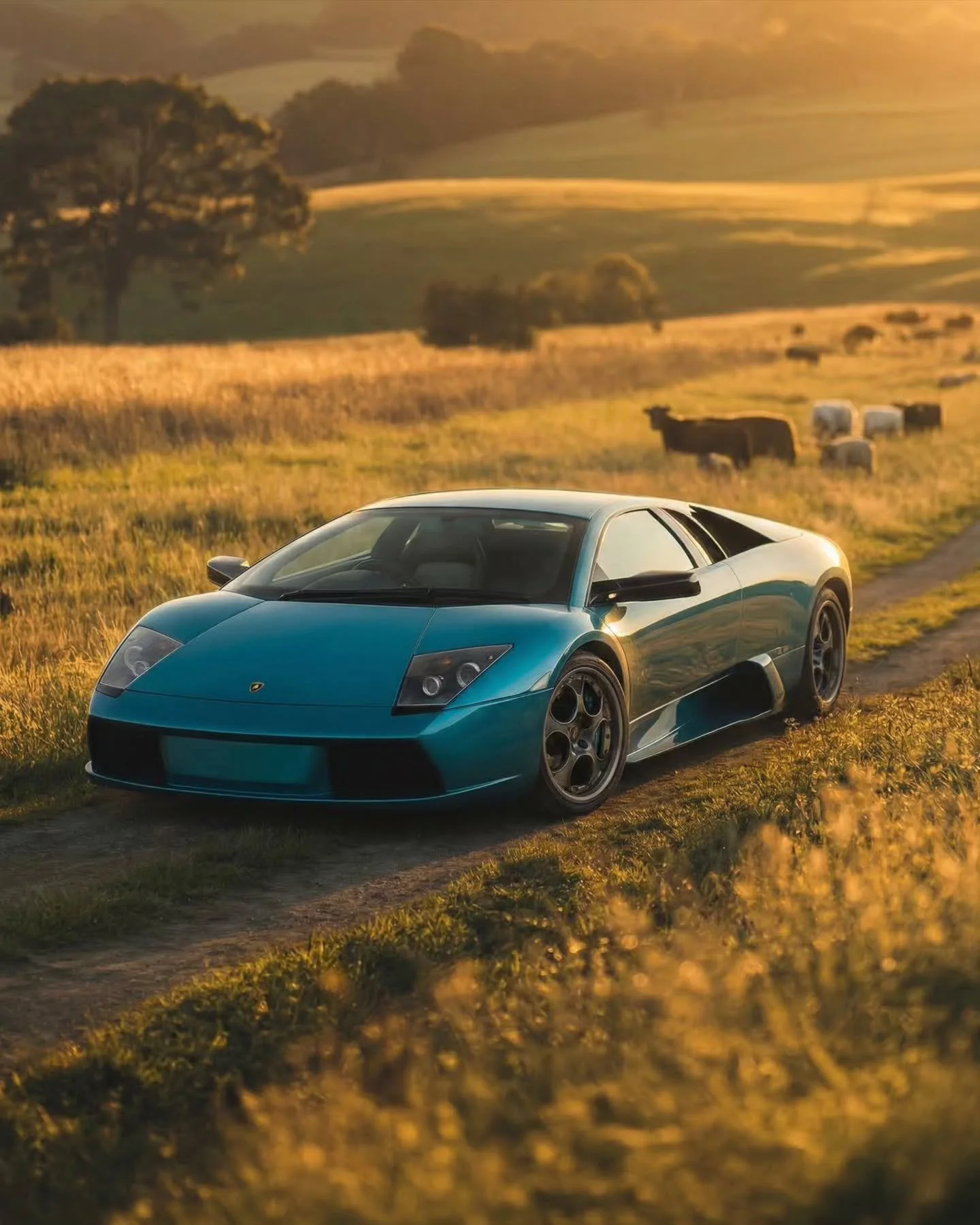 Lamborghini World Building Concept.

The photos look impossible.
But the car is real.

From countryside farm roads
to deep forest trails.

These scenes were never visited.
The car was never transported.

We simply took the existing photos of the car
