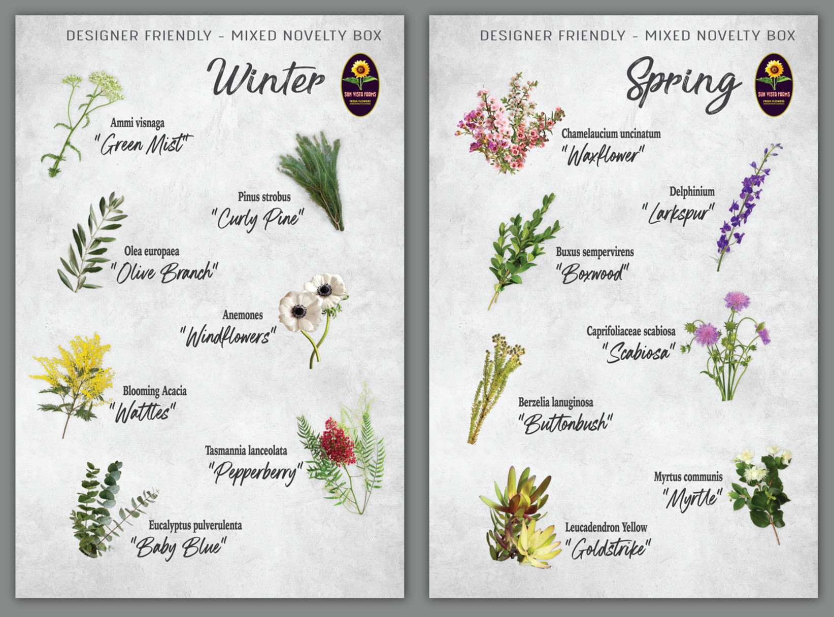 Large format high resolution foamcore signs 24” × 36”