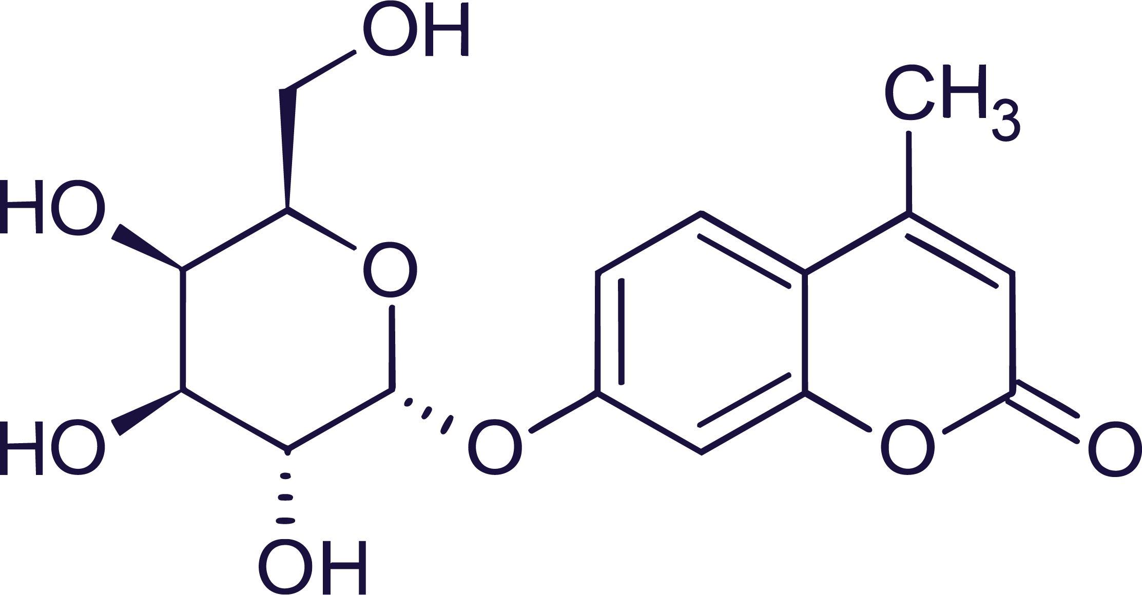 The sugar molecule alpha-gal
