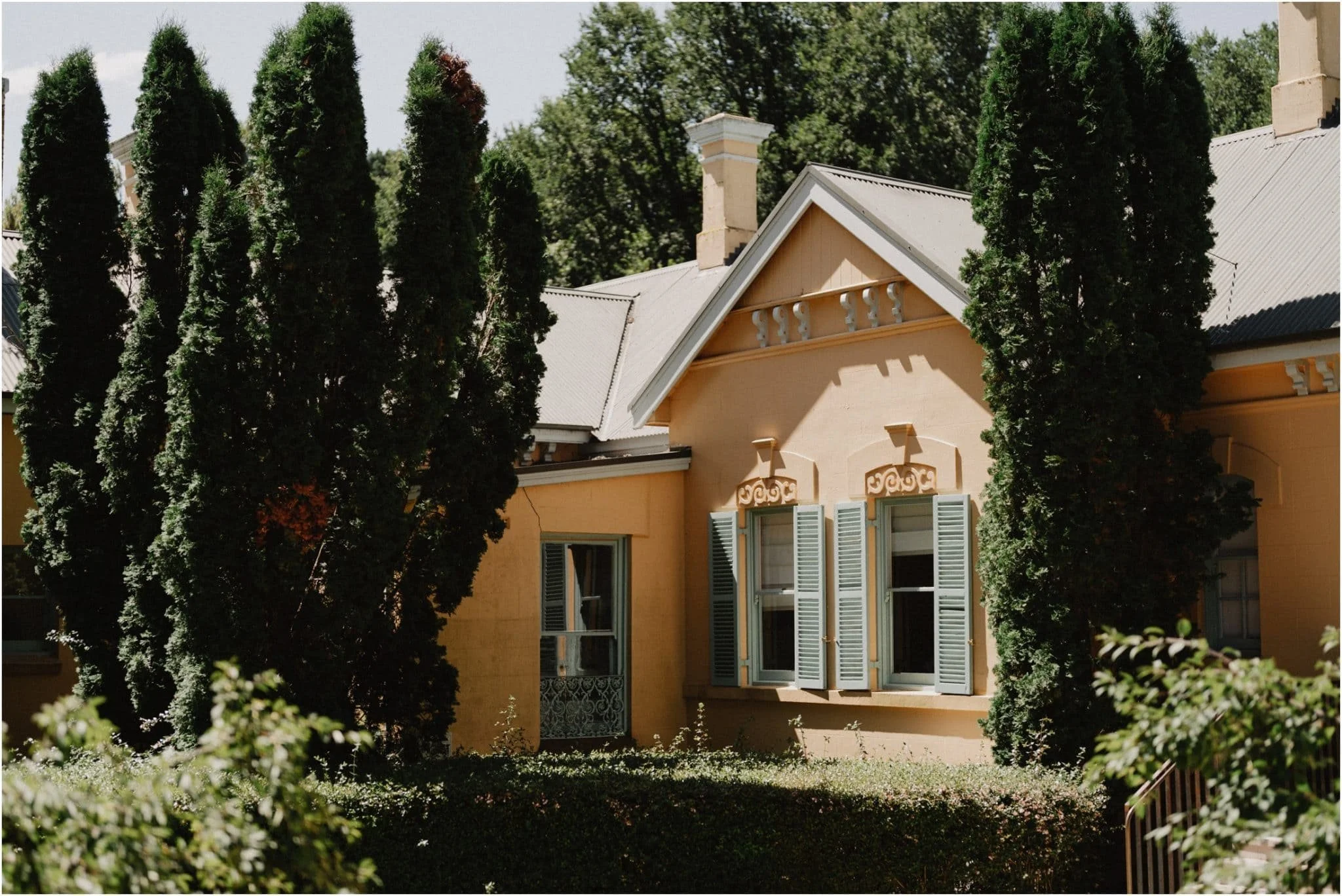 Tanne &amp; Harrison’s Wedding