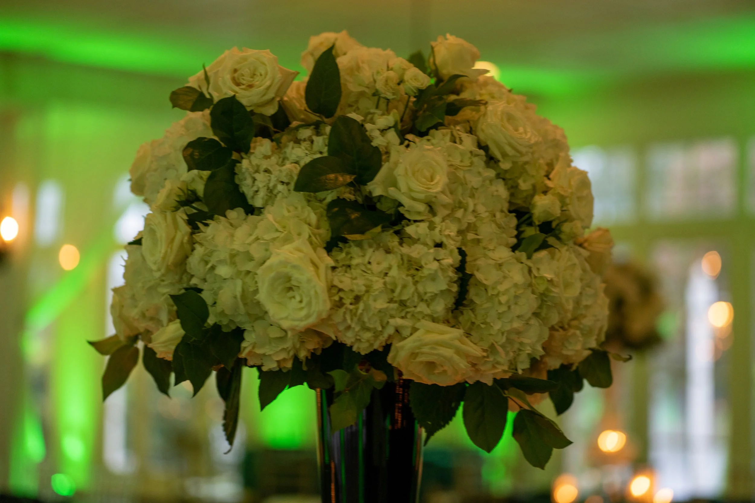Green & Gold-13.jpg