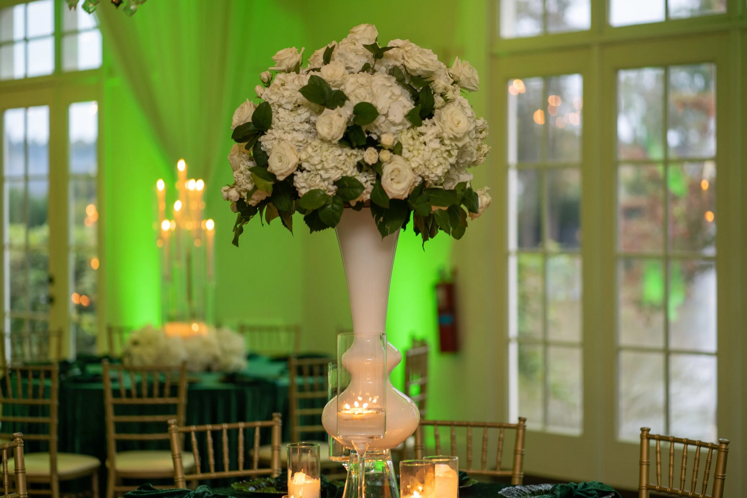 Green & Gold-16.jpg