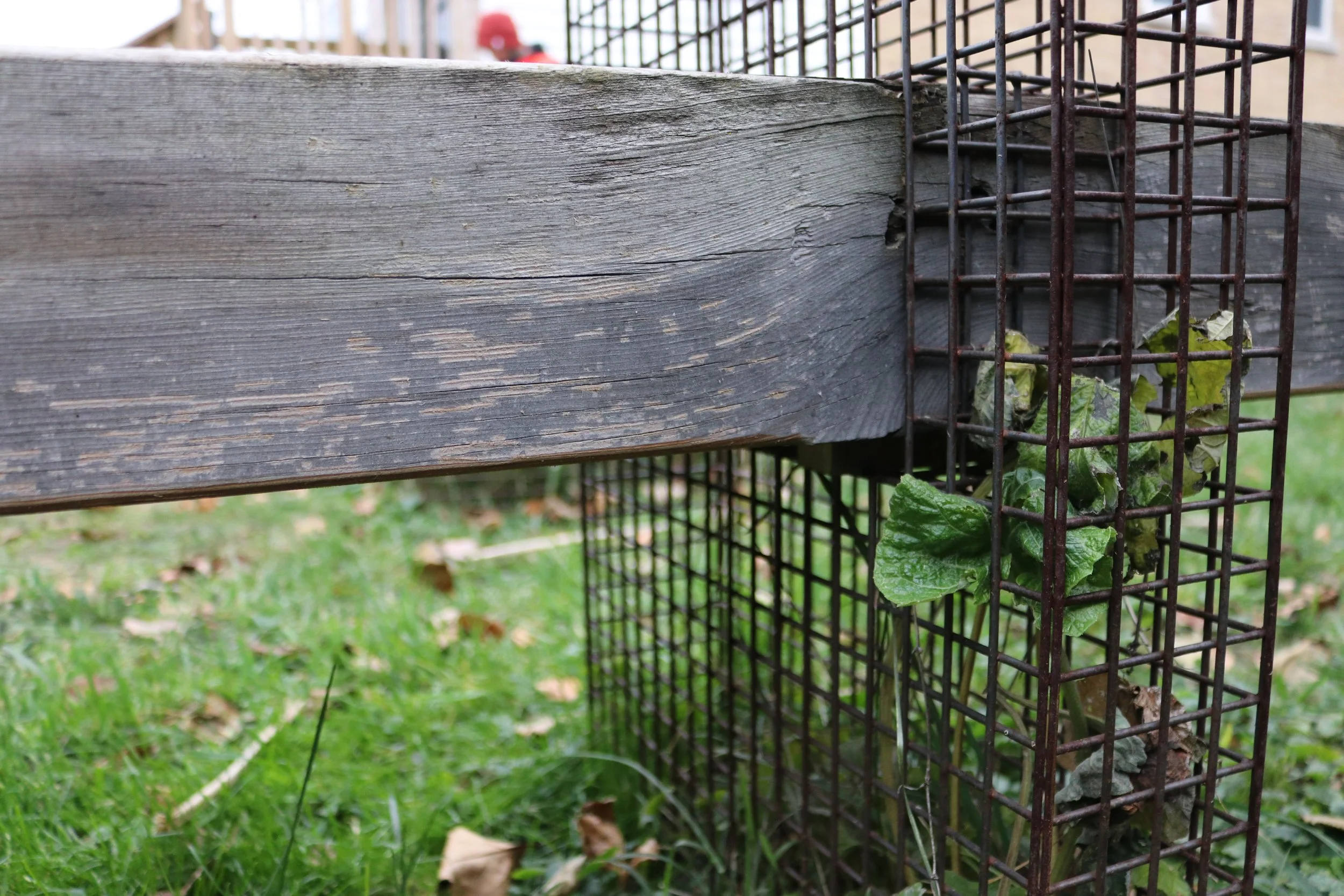 Mesh Furniture9.JPG