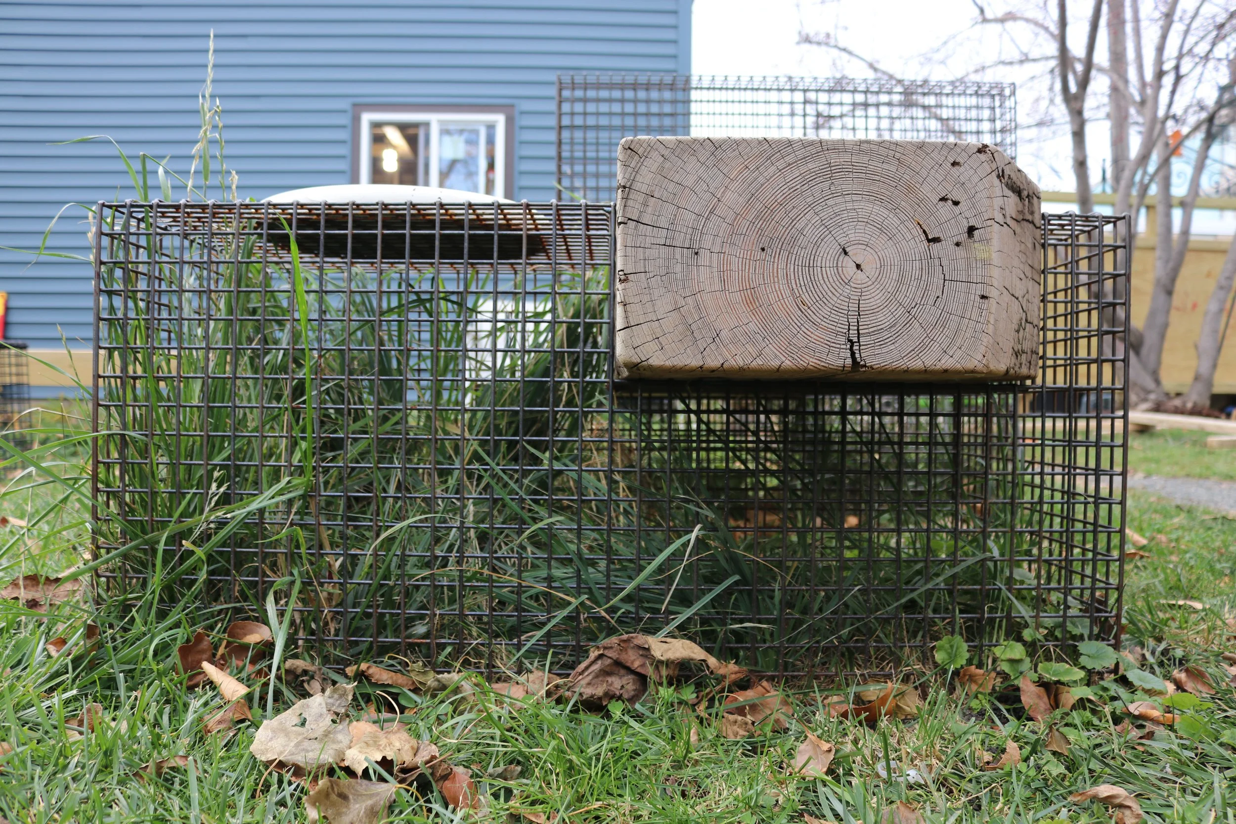 Mesh Furniture7.JPG