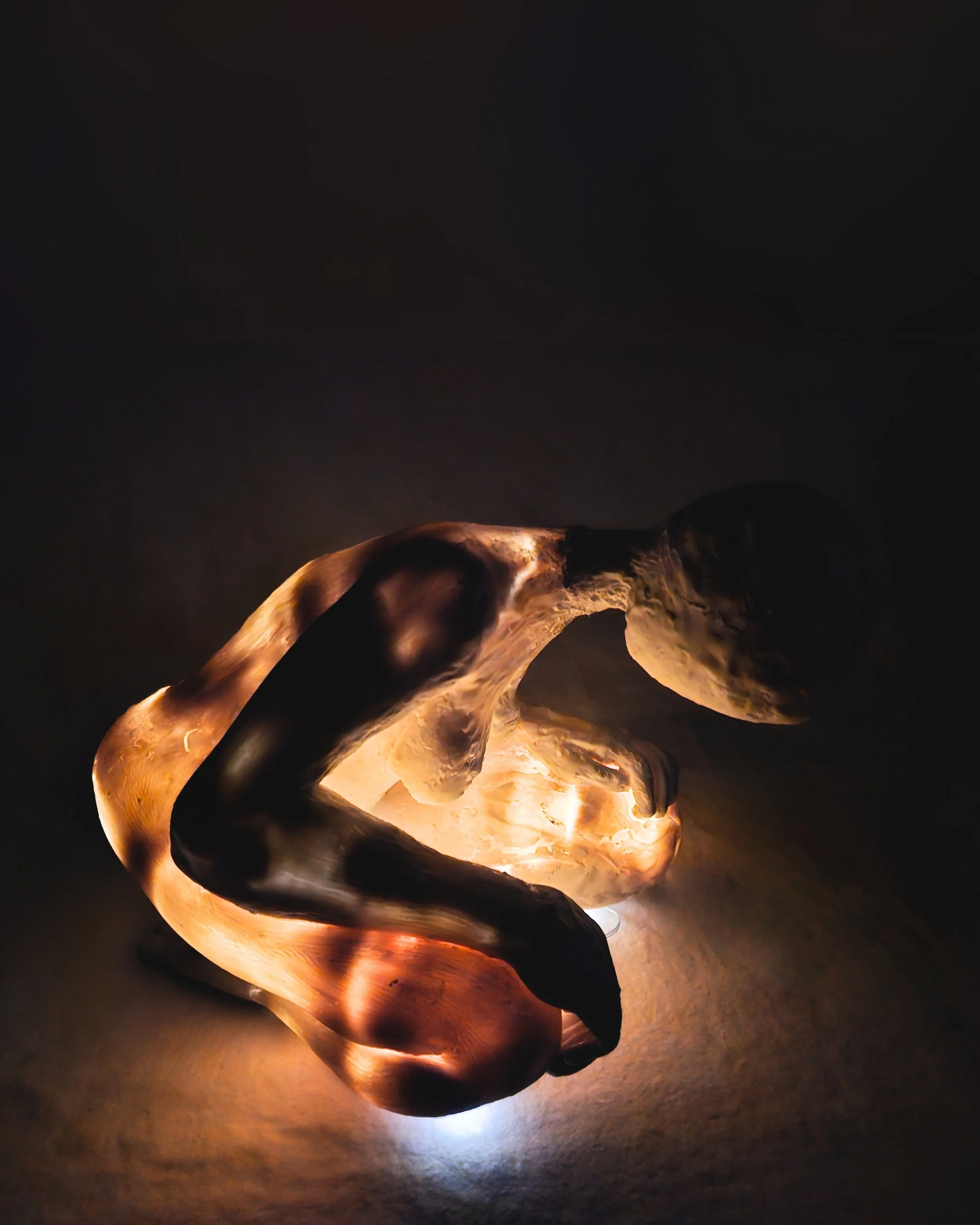 Unveiling the Inner Light