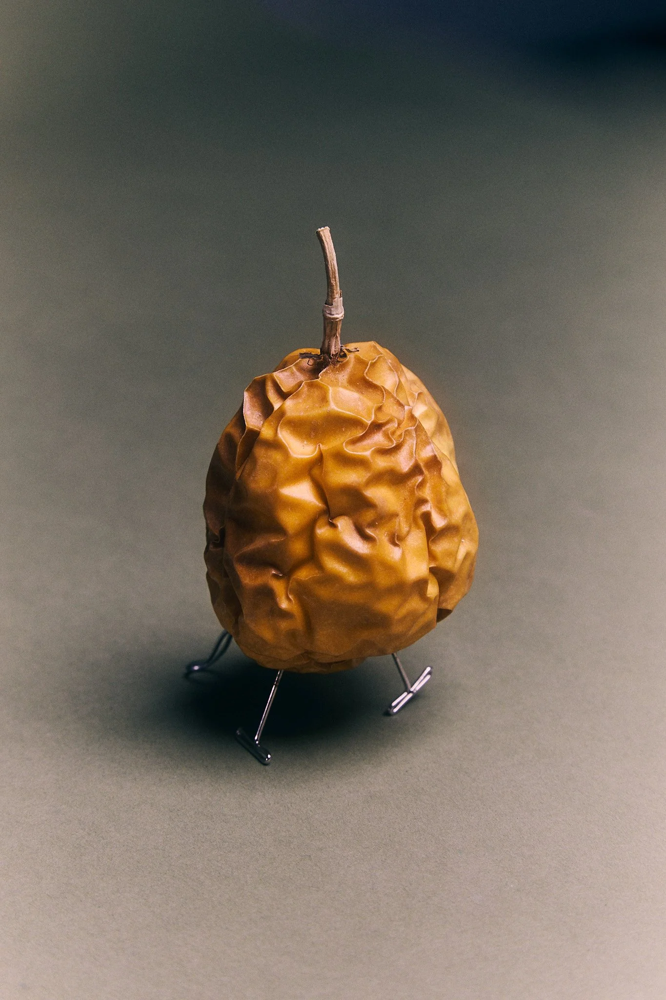STILL_LIFE1788.jpg