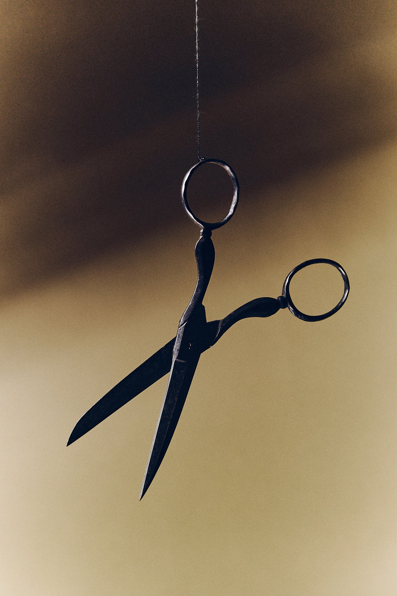 STILL_LIFE1476.jpg