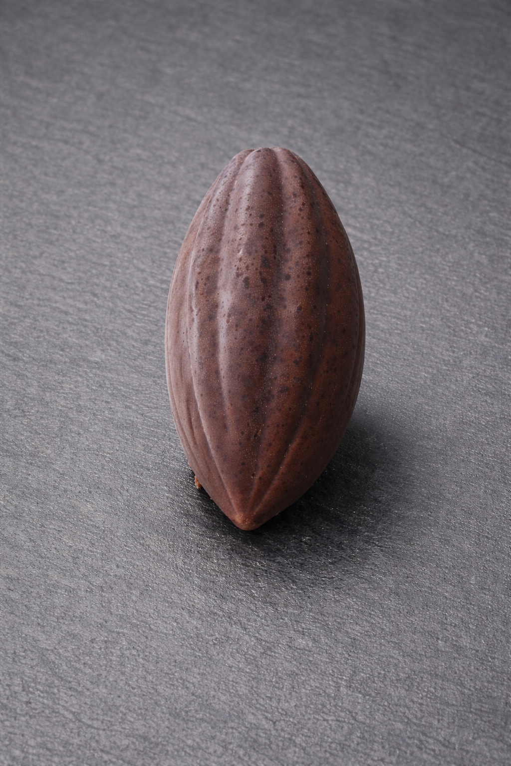 Trompe l'œil Cabosse Cacao