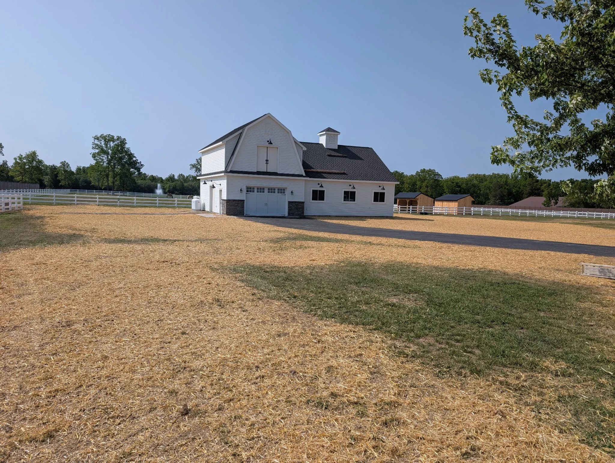 Lawn restoration 2.jpg