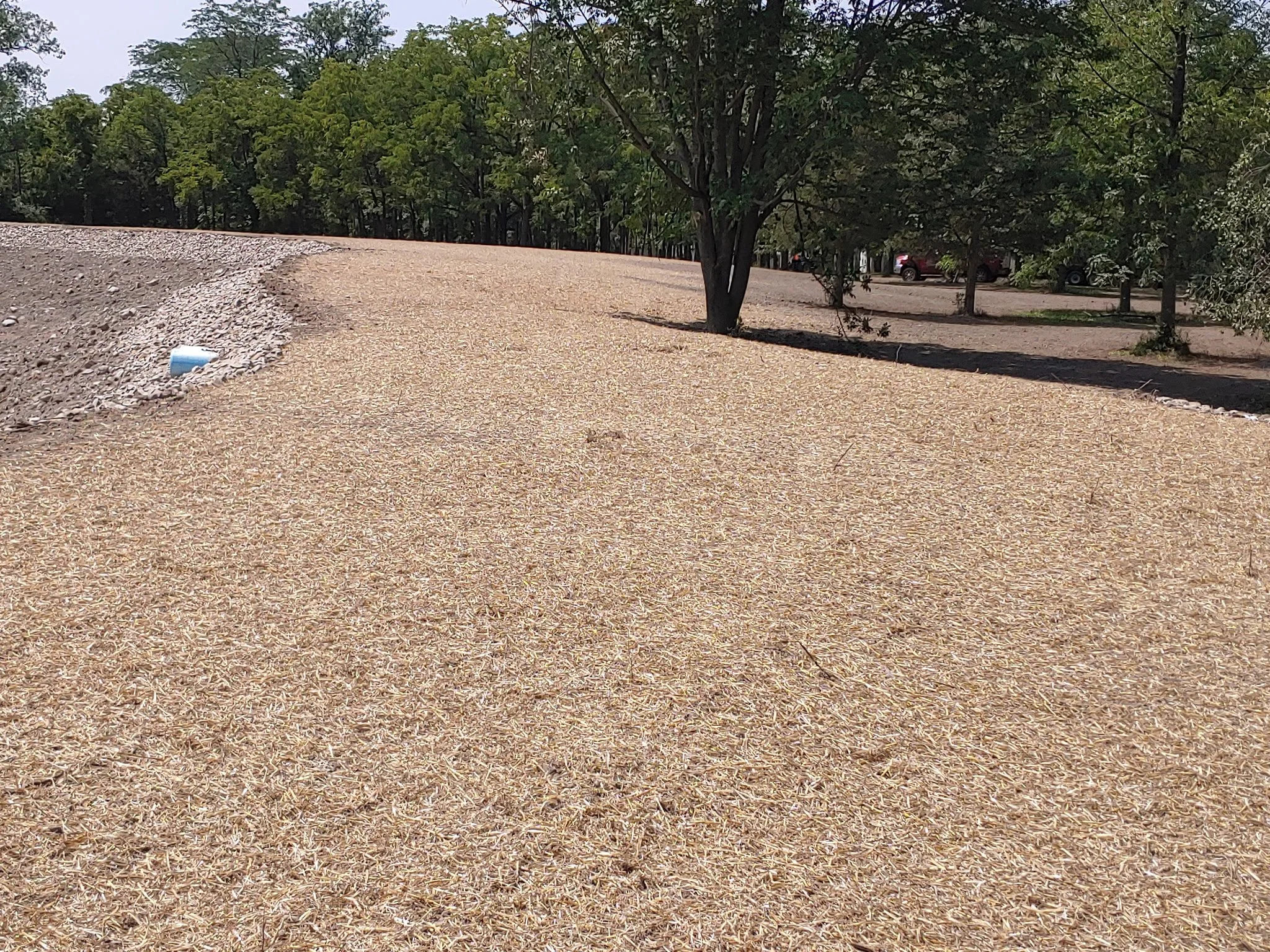 Lawn restoration.jpg