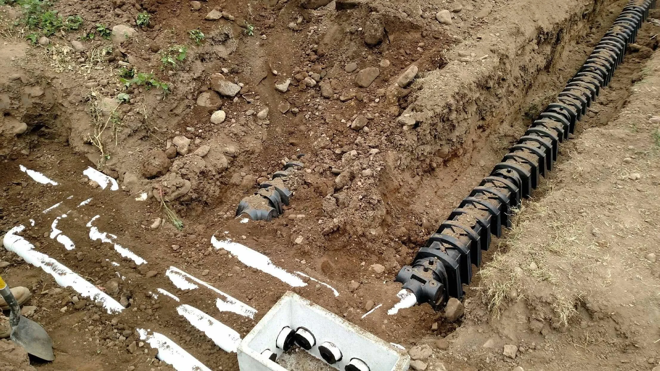 Distribution box.jpg