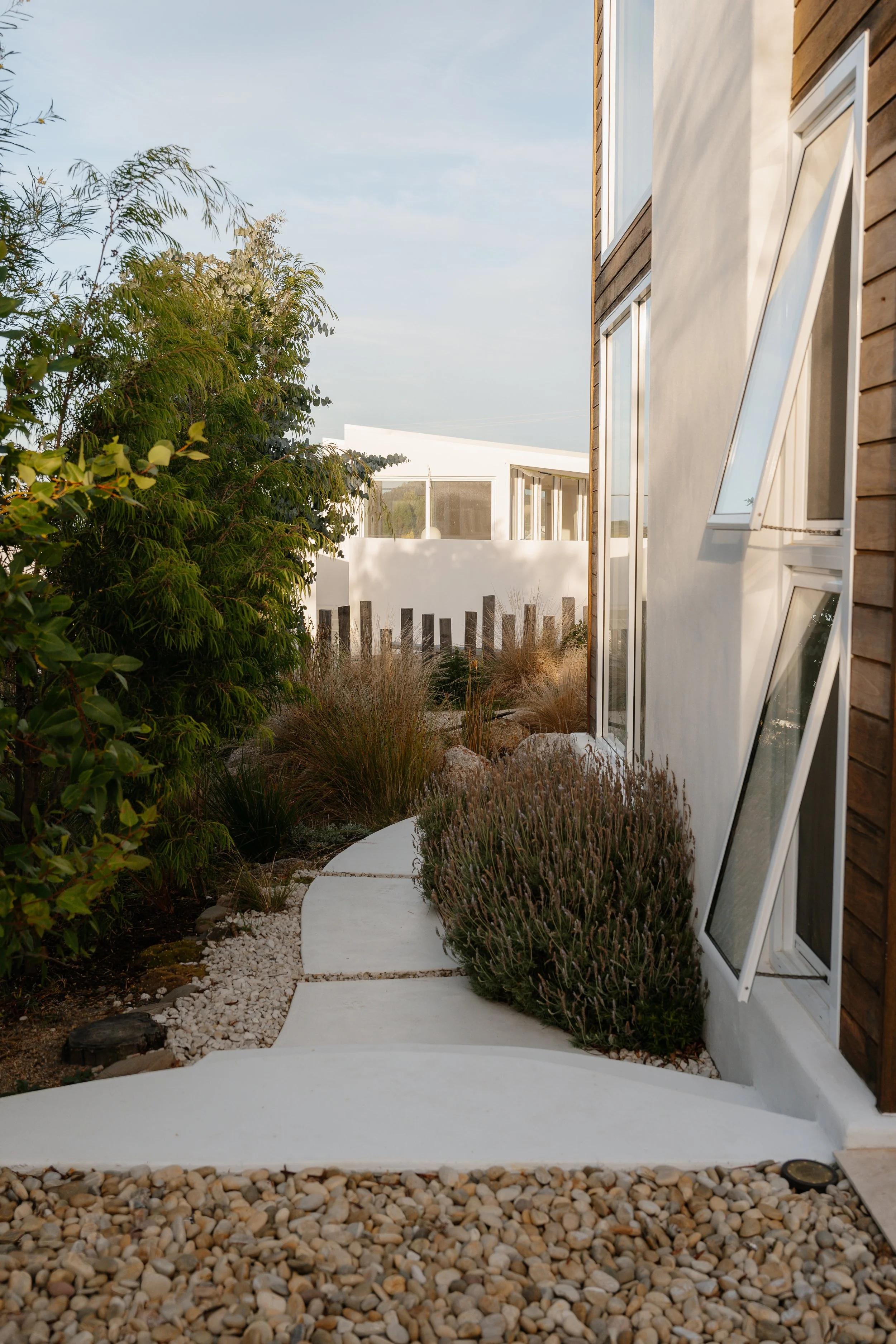A modern residential exterior with a curved white concrete pathway edged with small rocks and lush green plants on either side, next to a house with wooden siding and large windows.