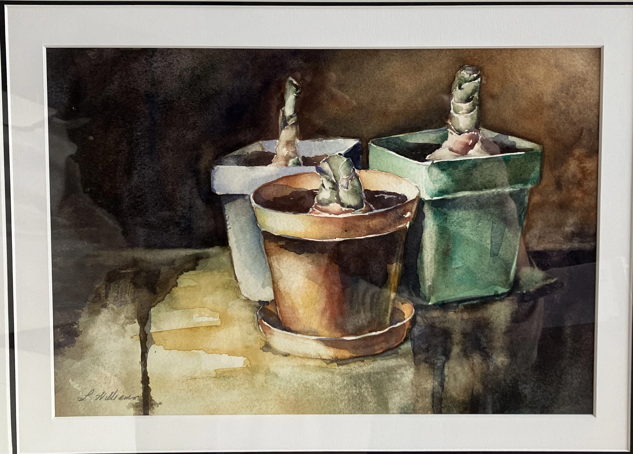 Still Life of potted plants by Louise Williams. Working primarily in watercolour she explores the the joys of every day life in this piece of paradise. Louise holds a BA and has trained as a professional tailor and costume designer. 