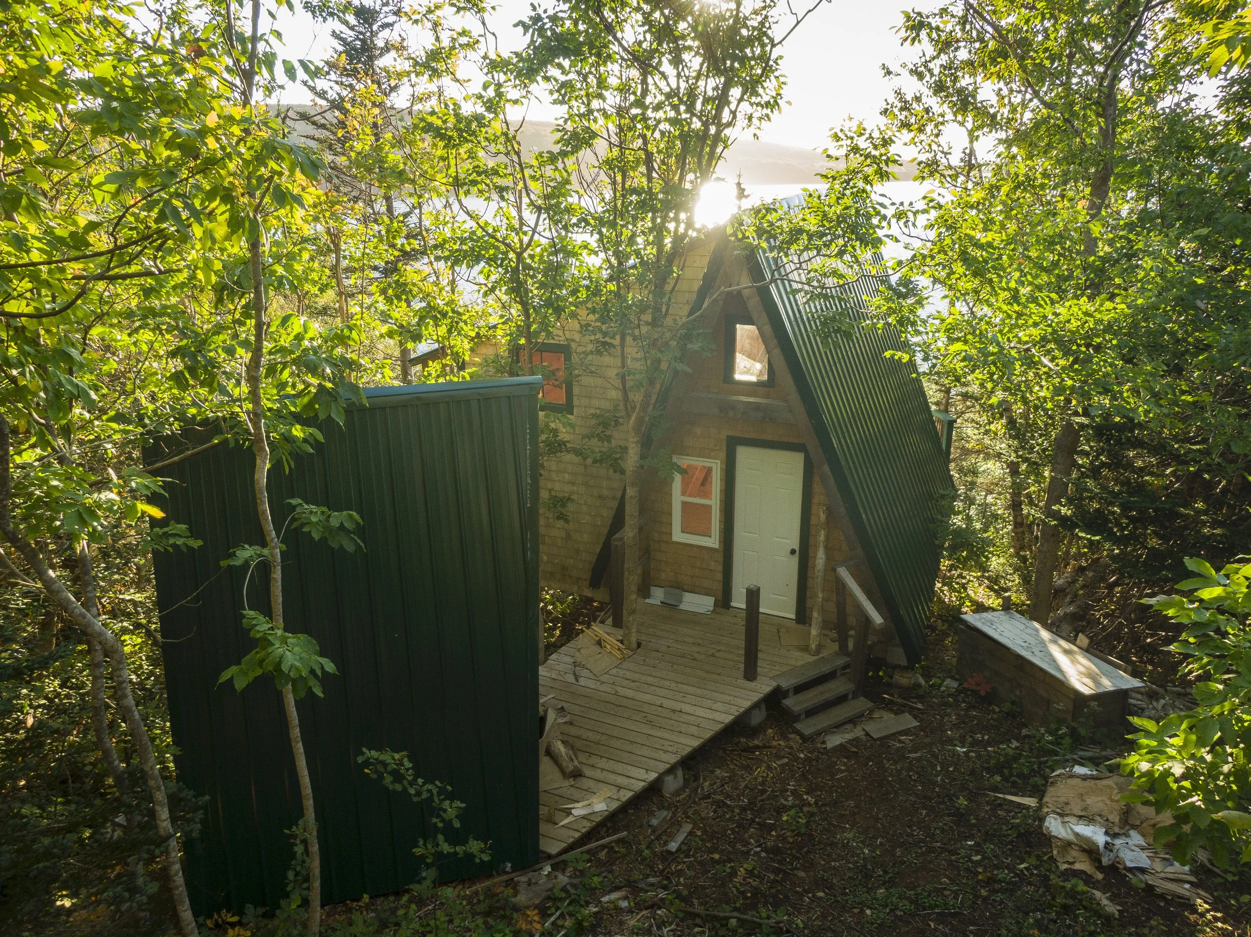 DanFroese-Maregold-Alpine back.jpg