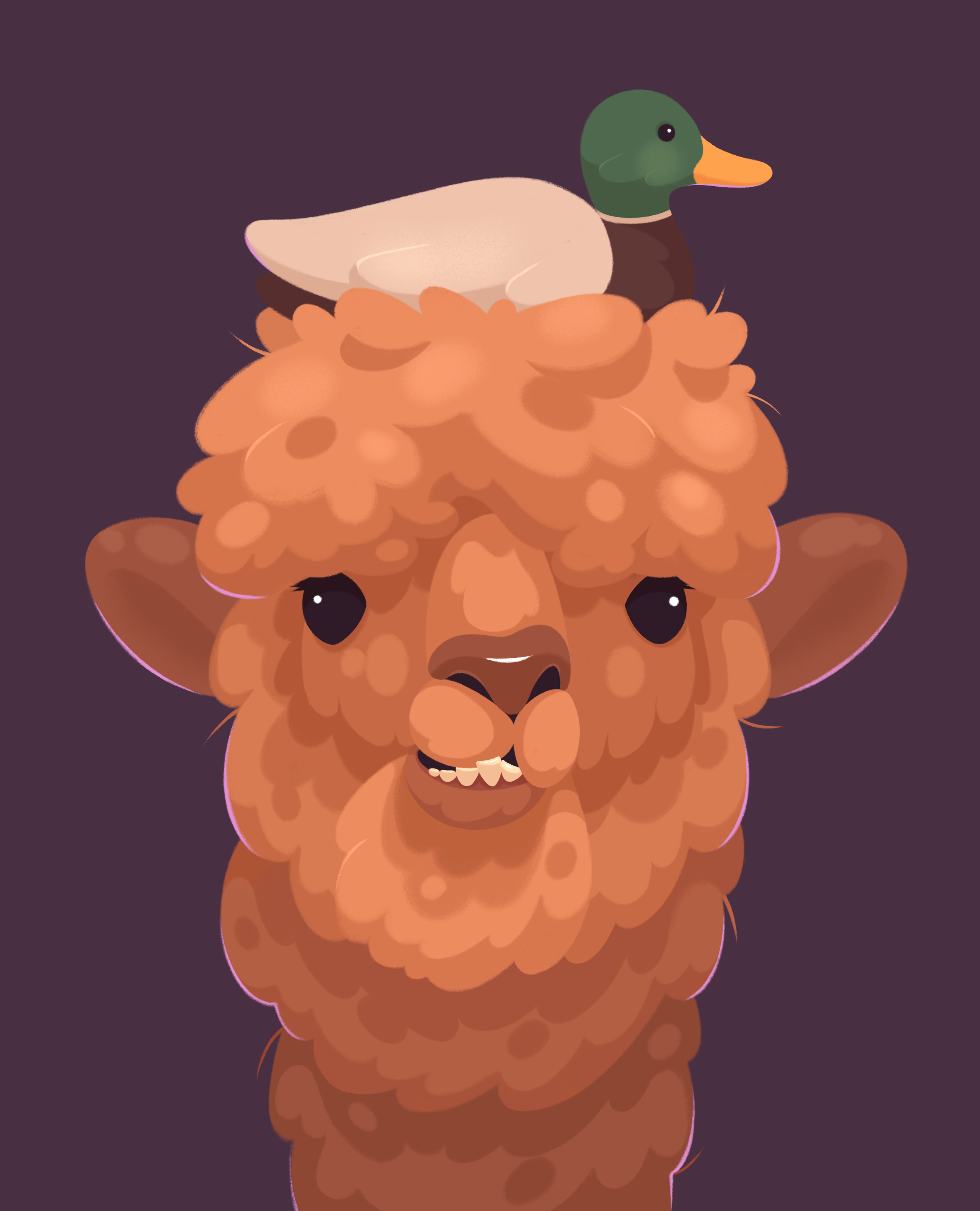 Alyssa alpaca.png