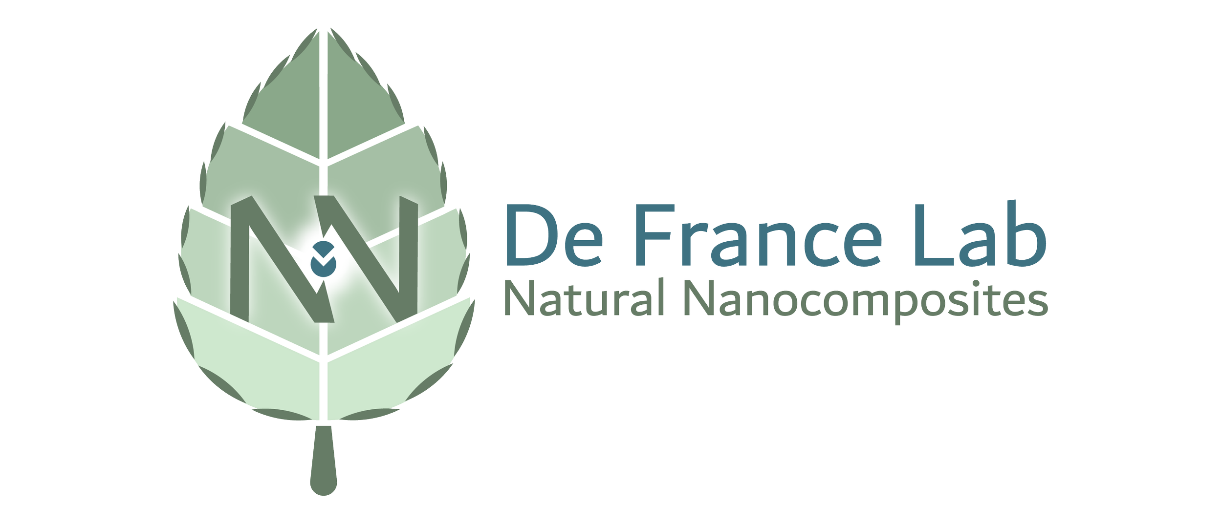 De france logo.png