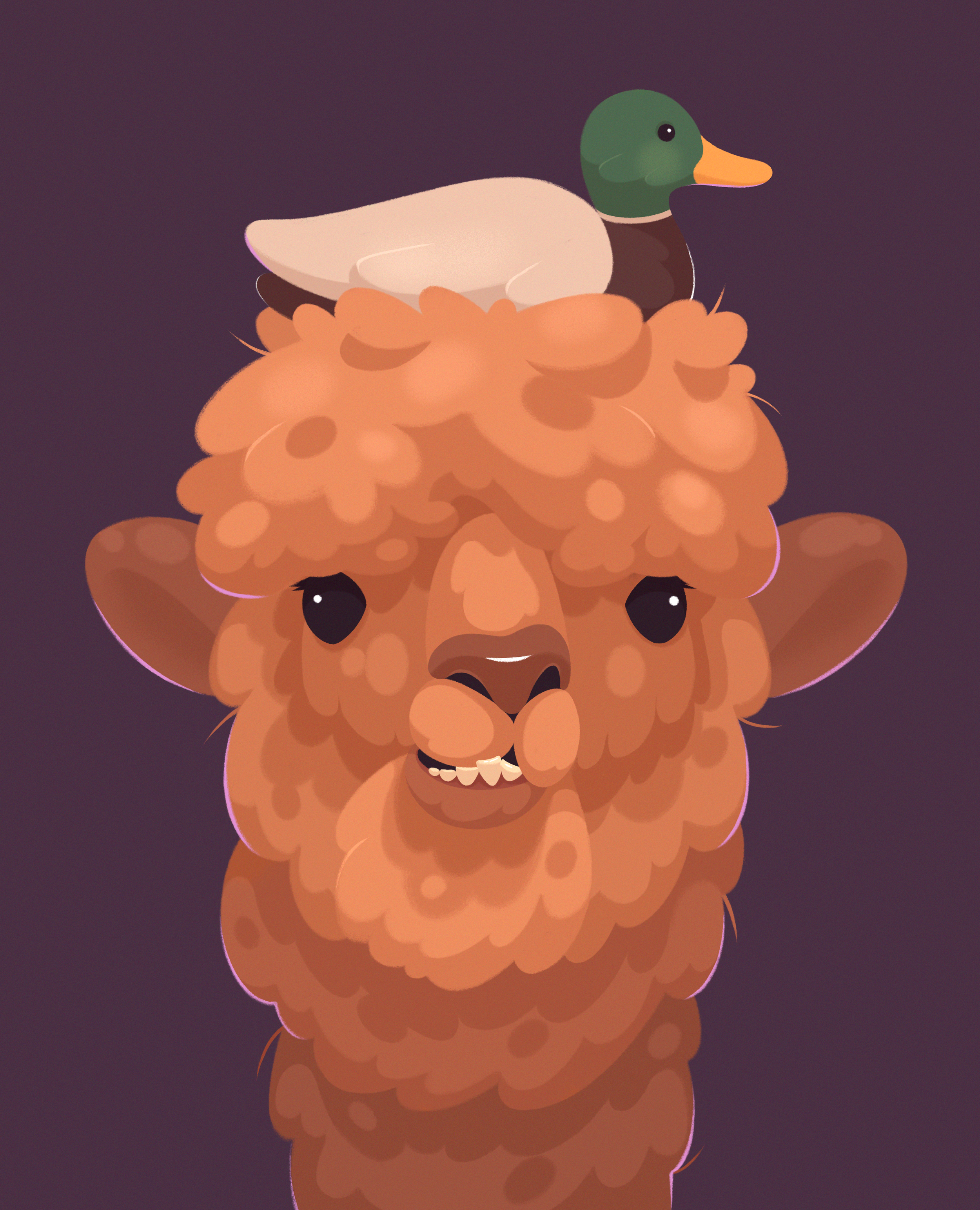 Alyssa alpaca noise.png
