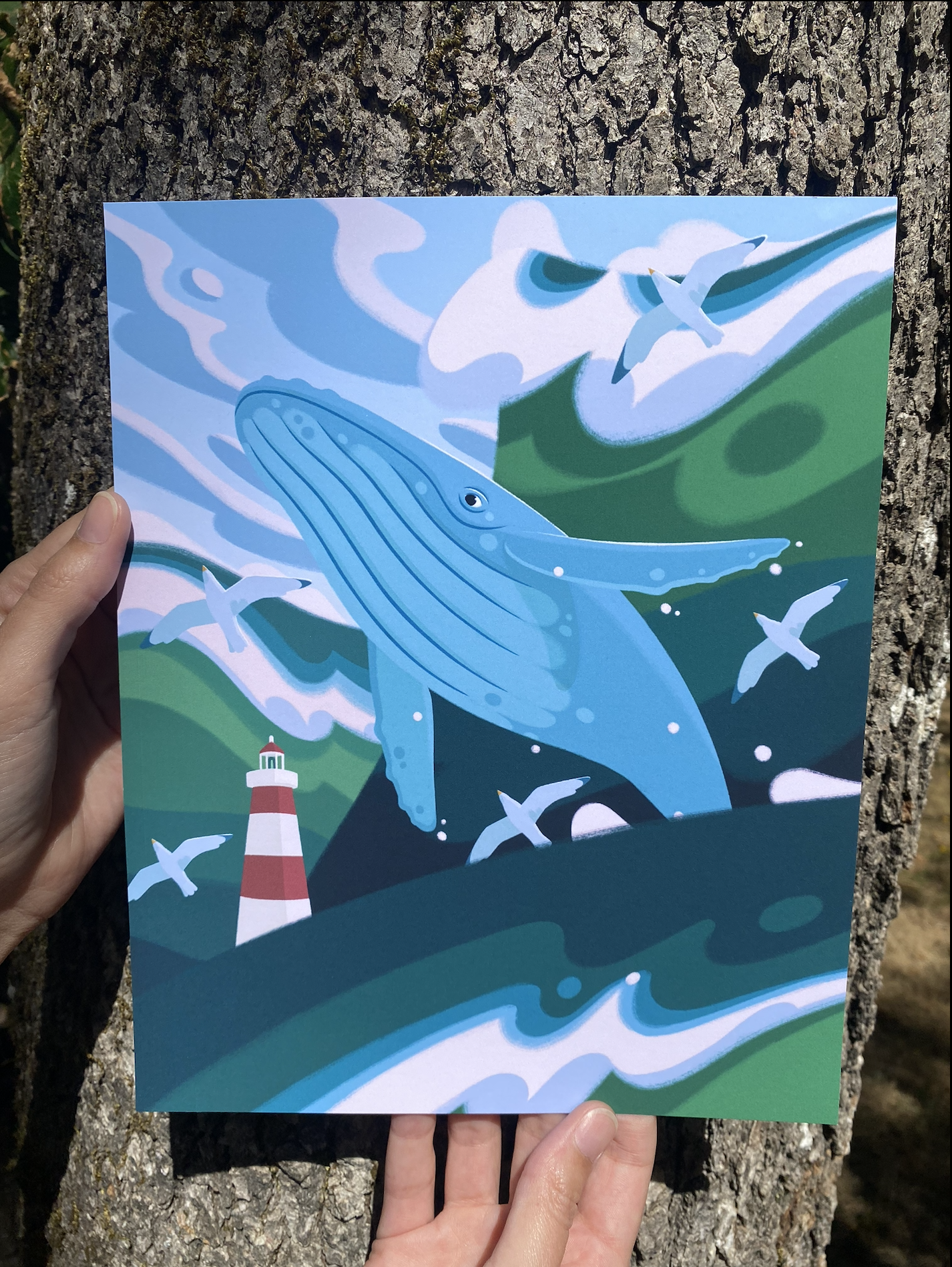 Humpback Whale