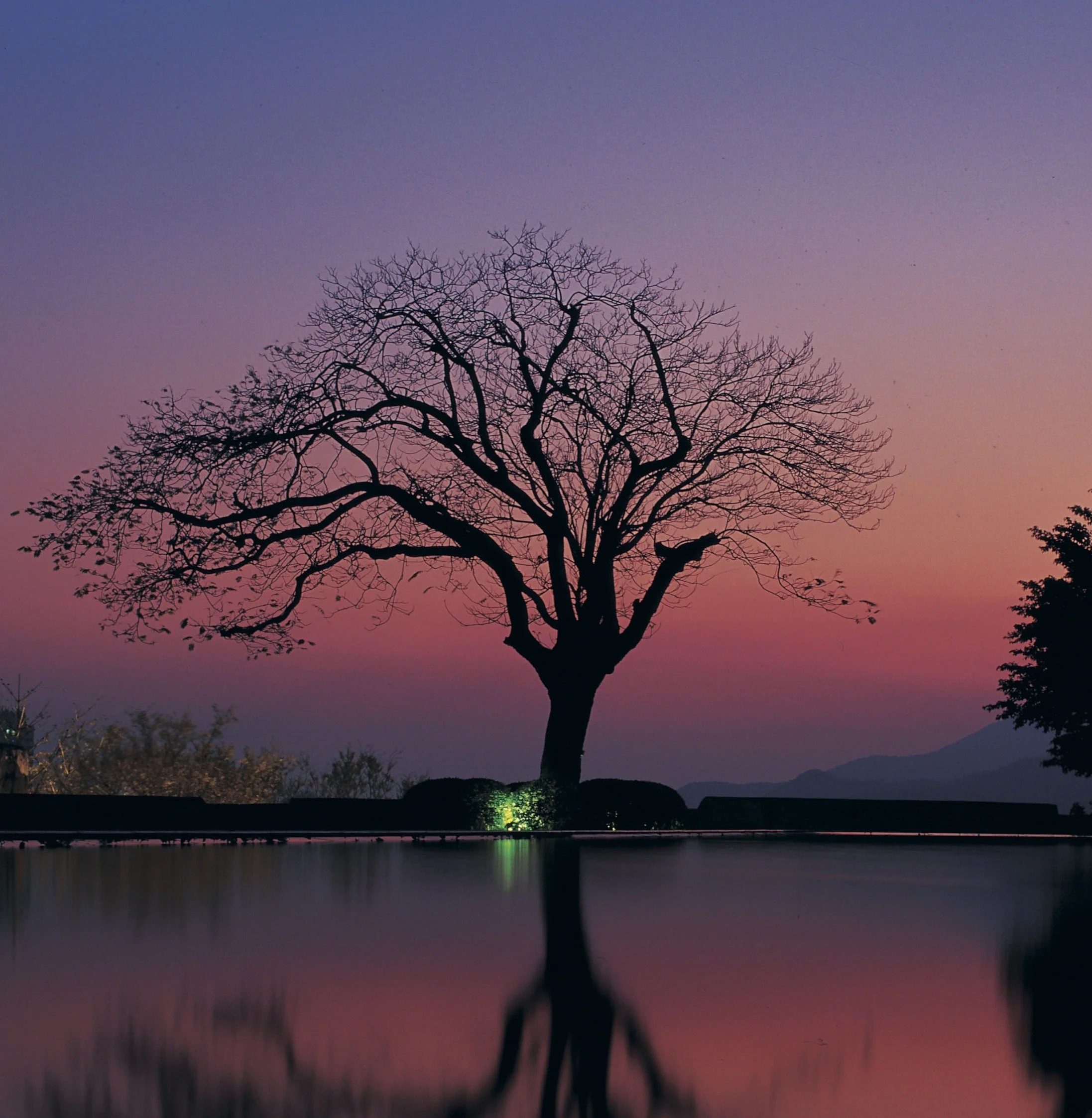 When roots meet reflection.