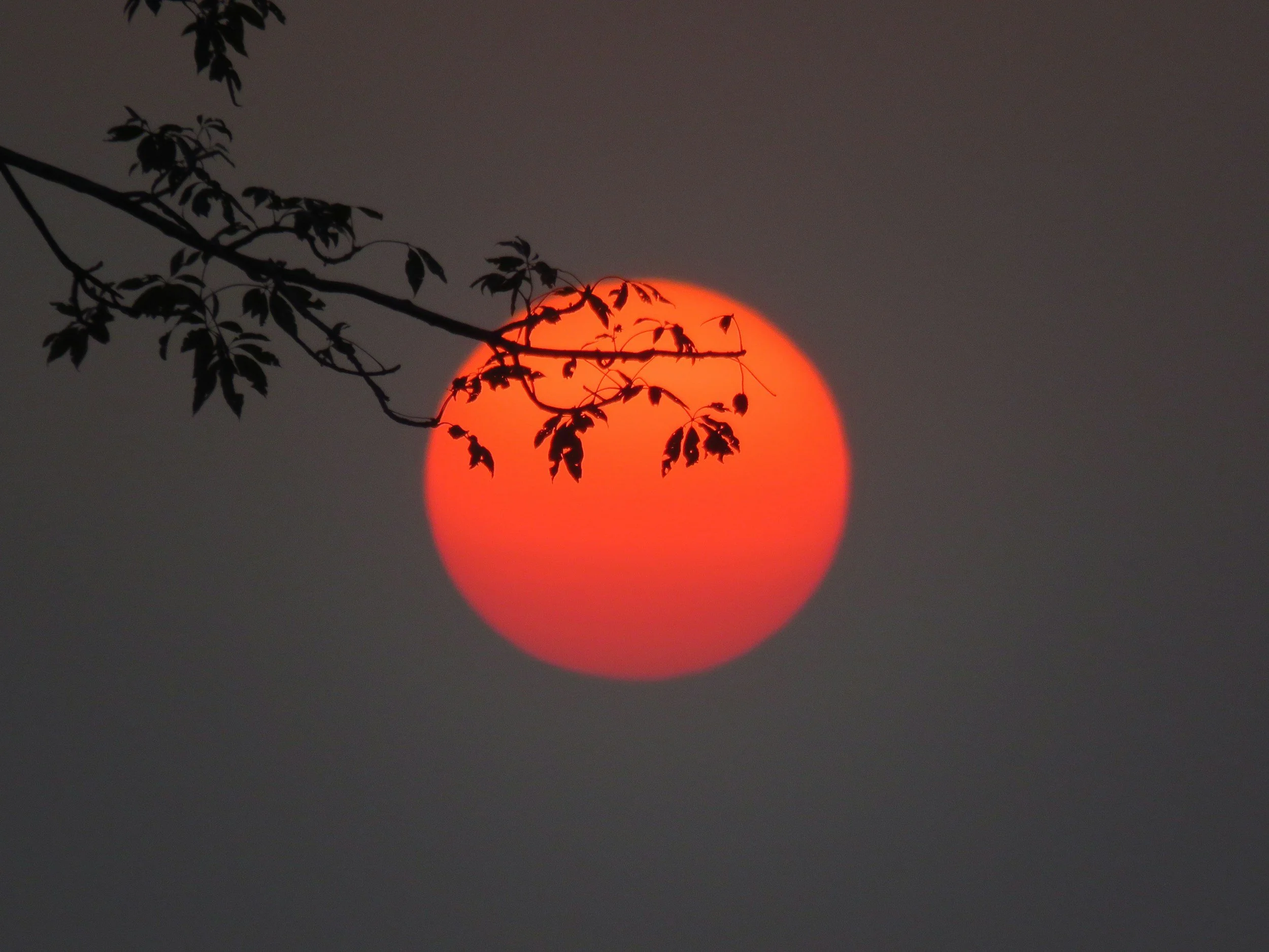 Setting sun representing circadian rhythm, natural light exposure, and healthy sleep-wake cycles