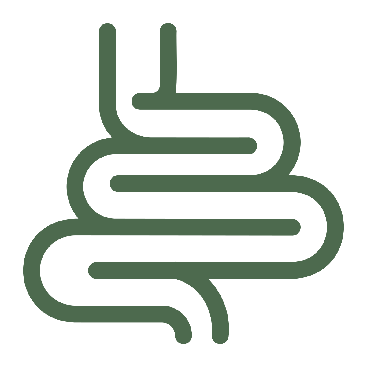 Digestive health icon