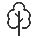 Tree icon representing prevention, resilience, longevity, and long-term health optimization