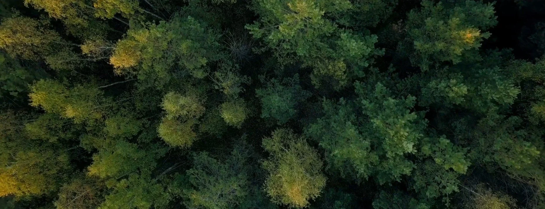 Screenshot 2026-07-05 213923.jpg