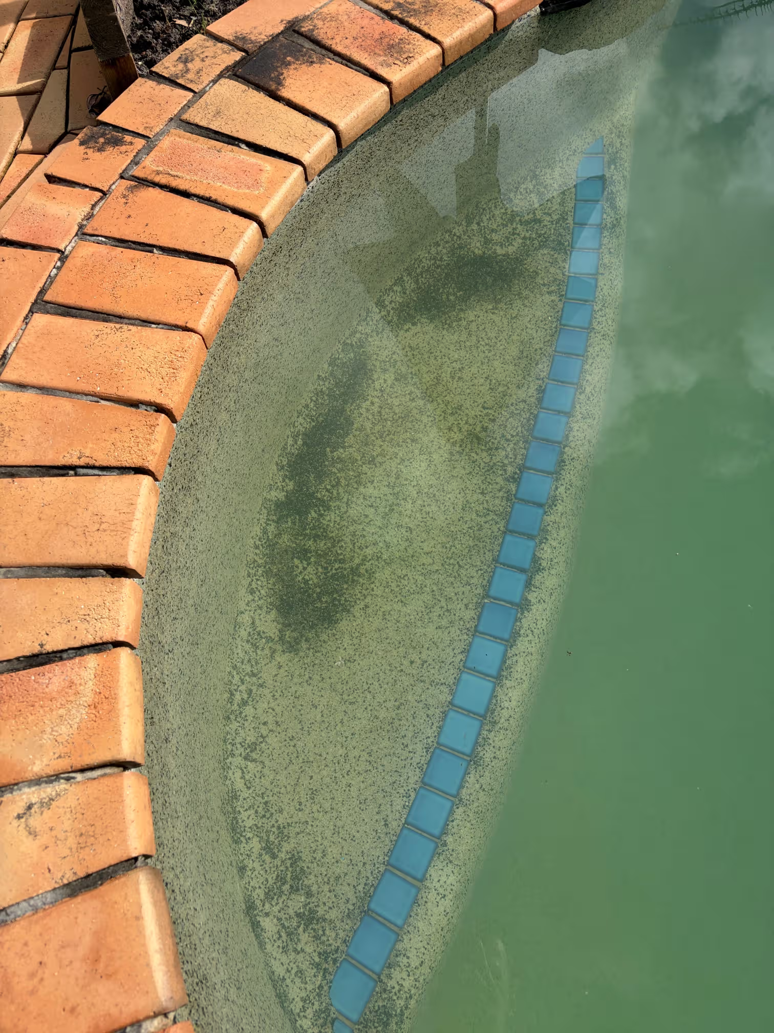 Close-up of a brick-edged swimming pool with an irregular row of small blue tiles along the pool's edge, partially submerged in greenish water.
